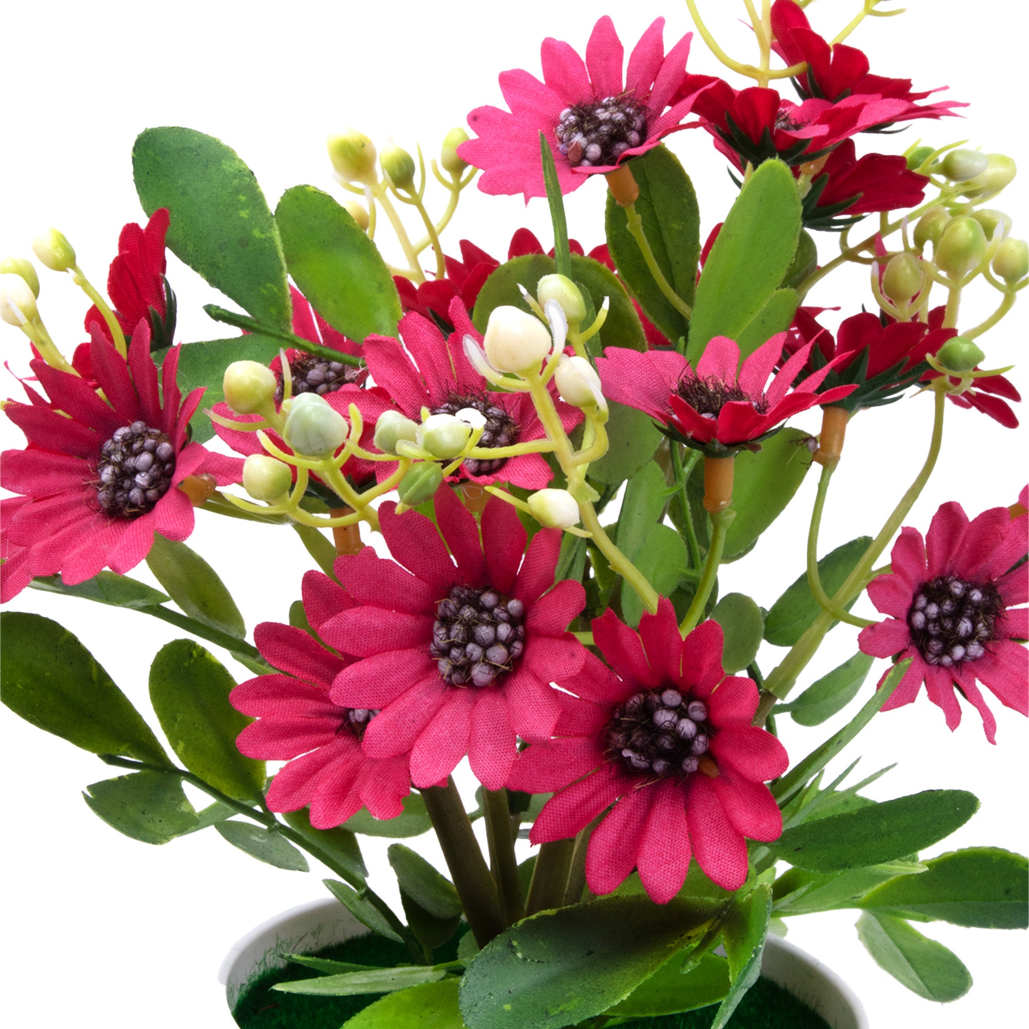 Artificial Flower in Pot Daisy Vine Maroon 9X6.5inch 1pc