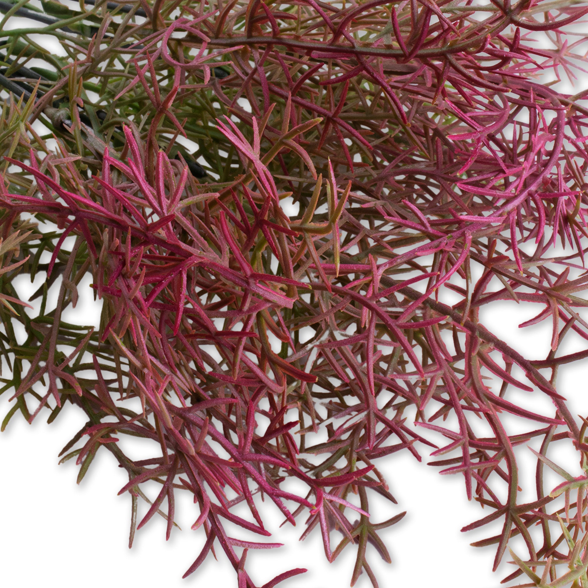 Artificial Leaf Stem Wild Grass Red and Green 16inch 1 Bunch