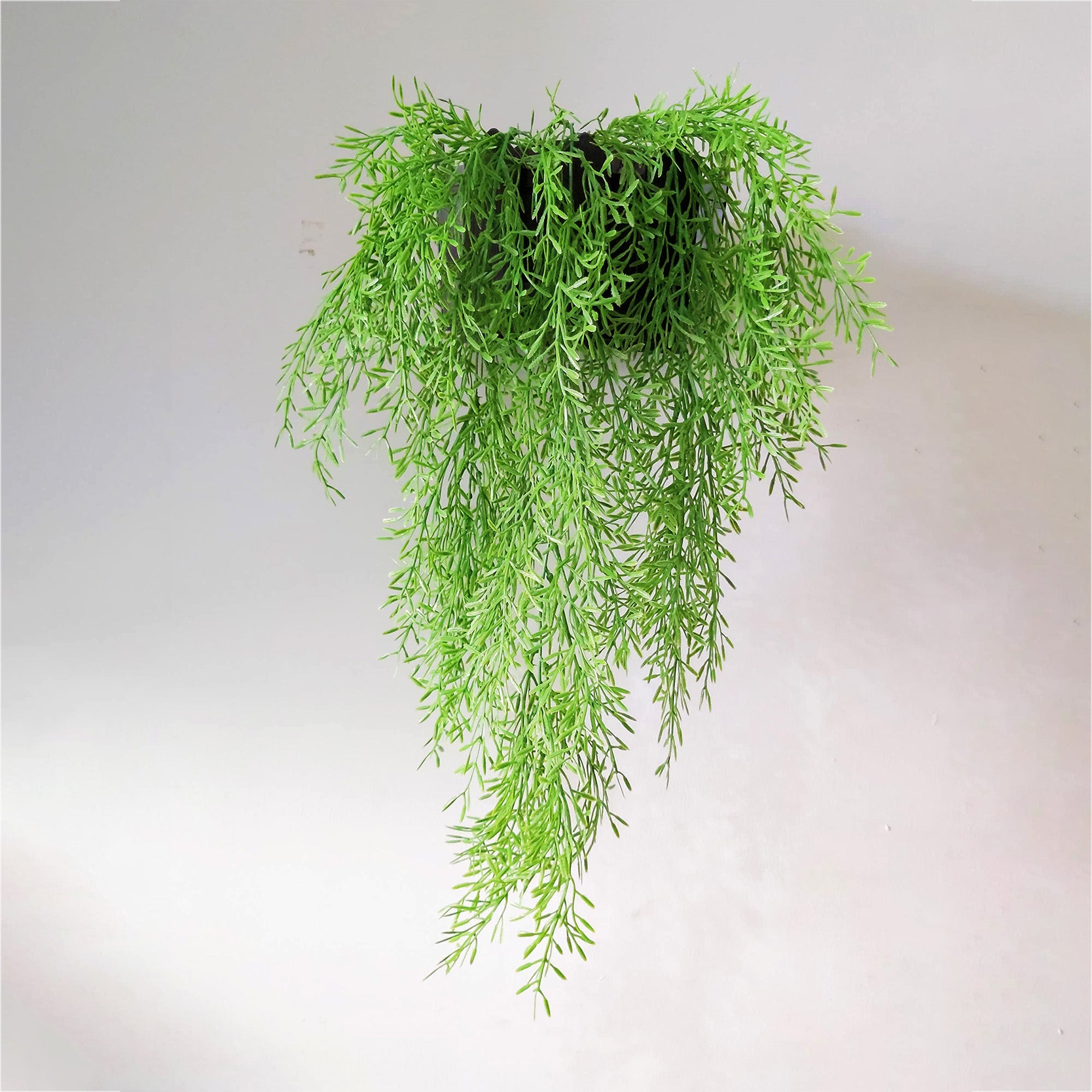 Artificial Hanging Creepers Asparagus Green 52.7inch 1pc