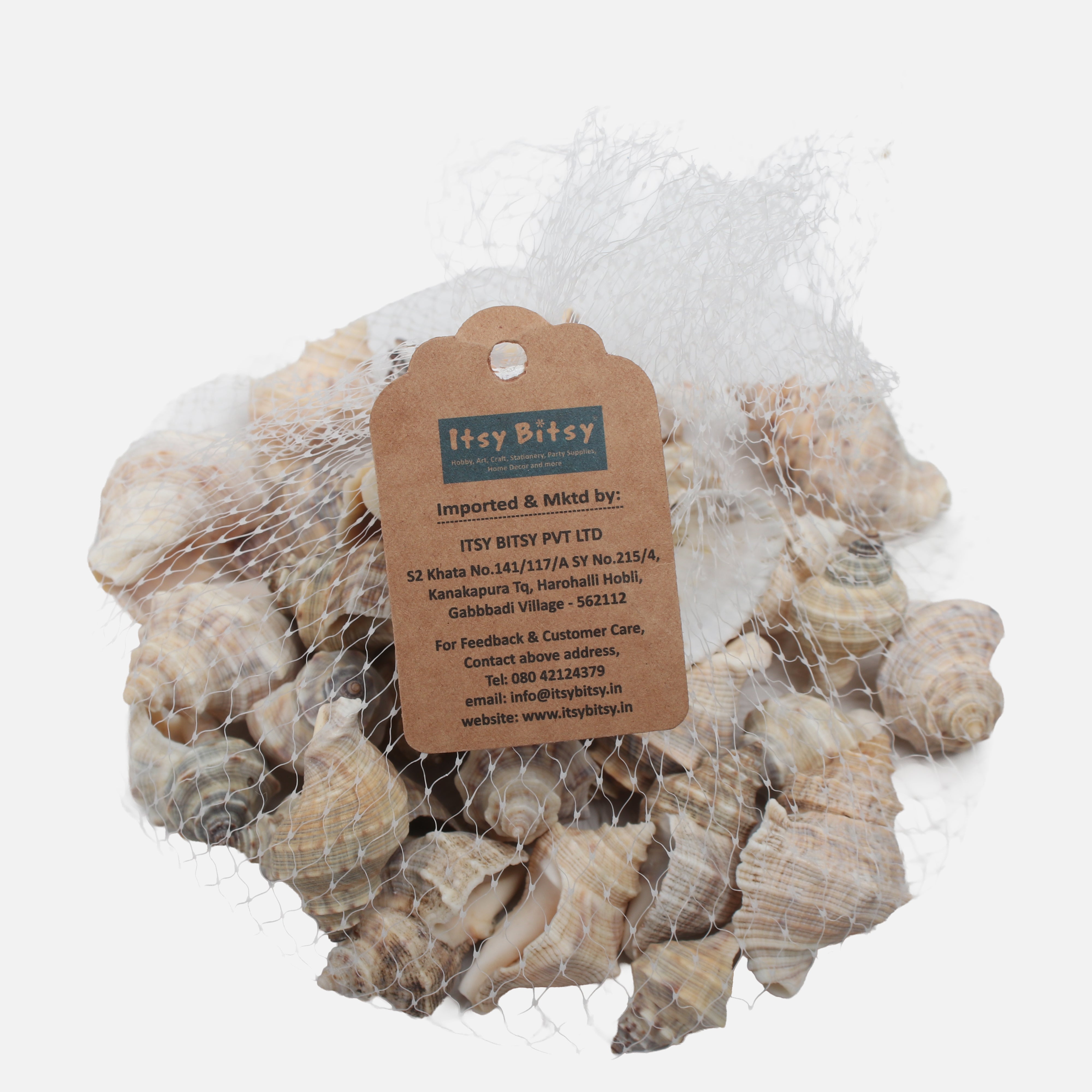 Seashell Murex Natural 100gm Net pouch