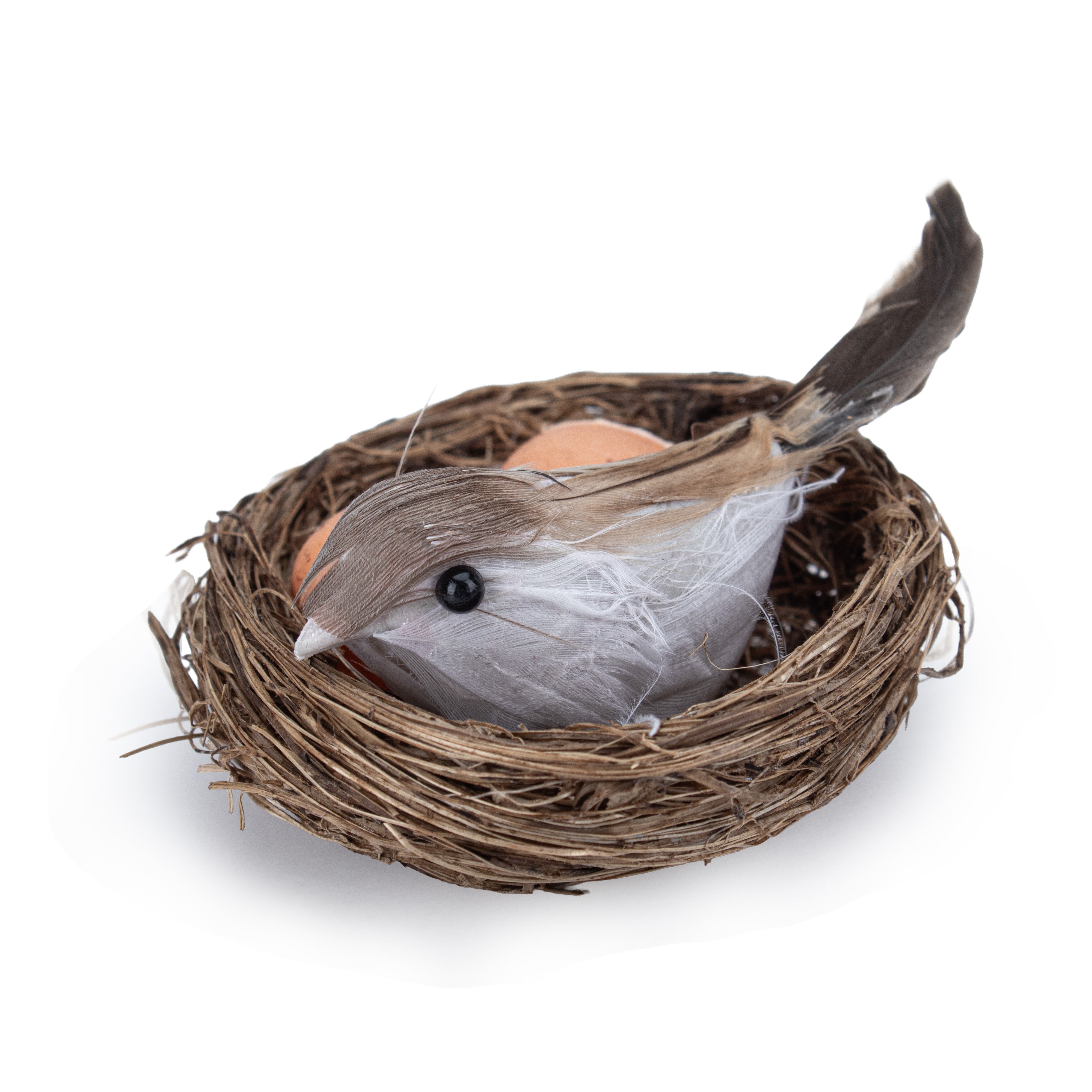 Artificial Bird & Bird Eggs