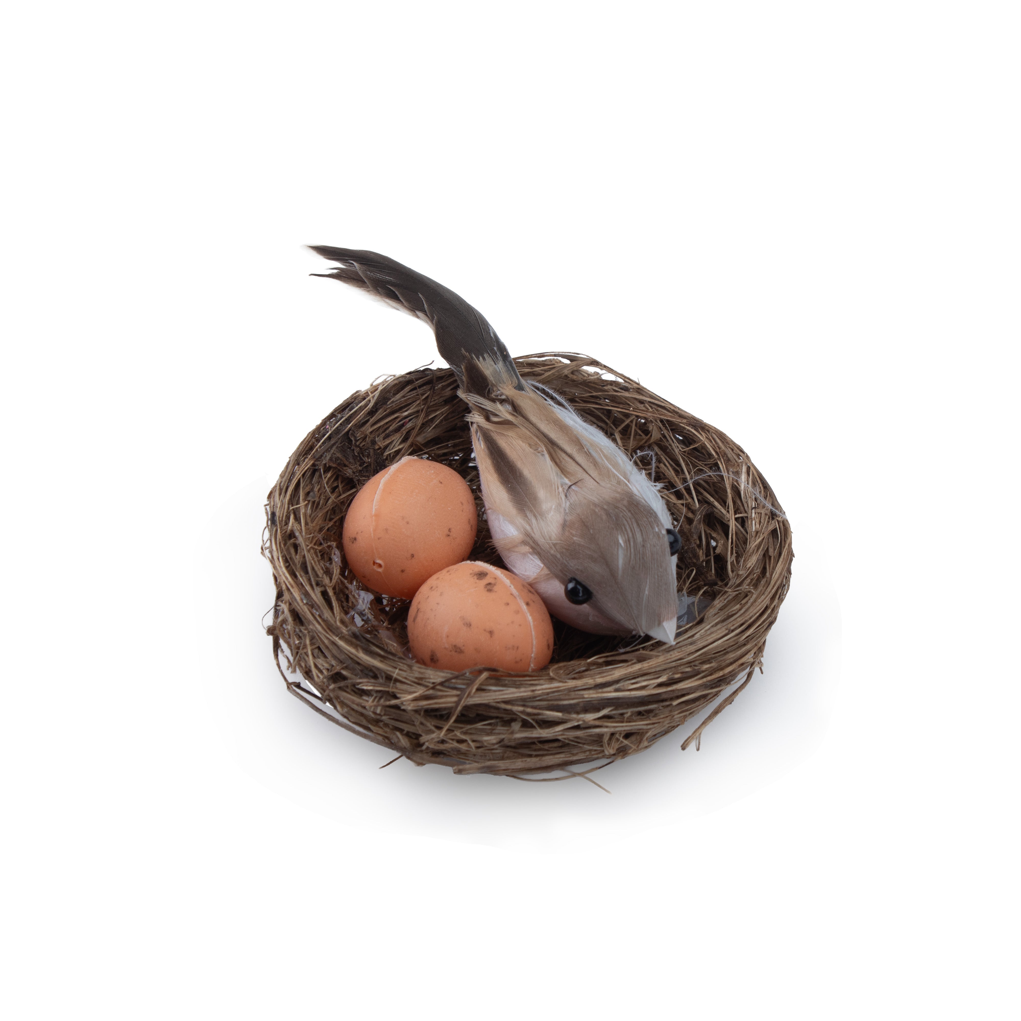 Artificial Bird & Bird Eggs