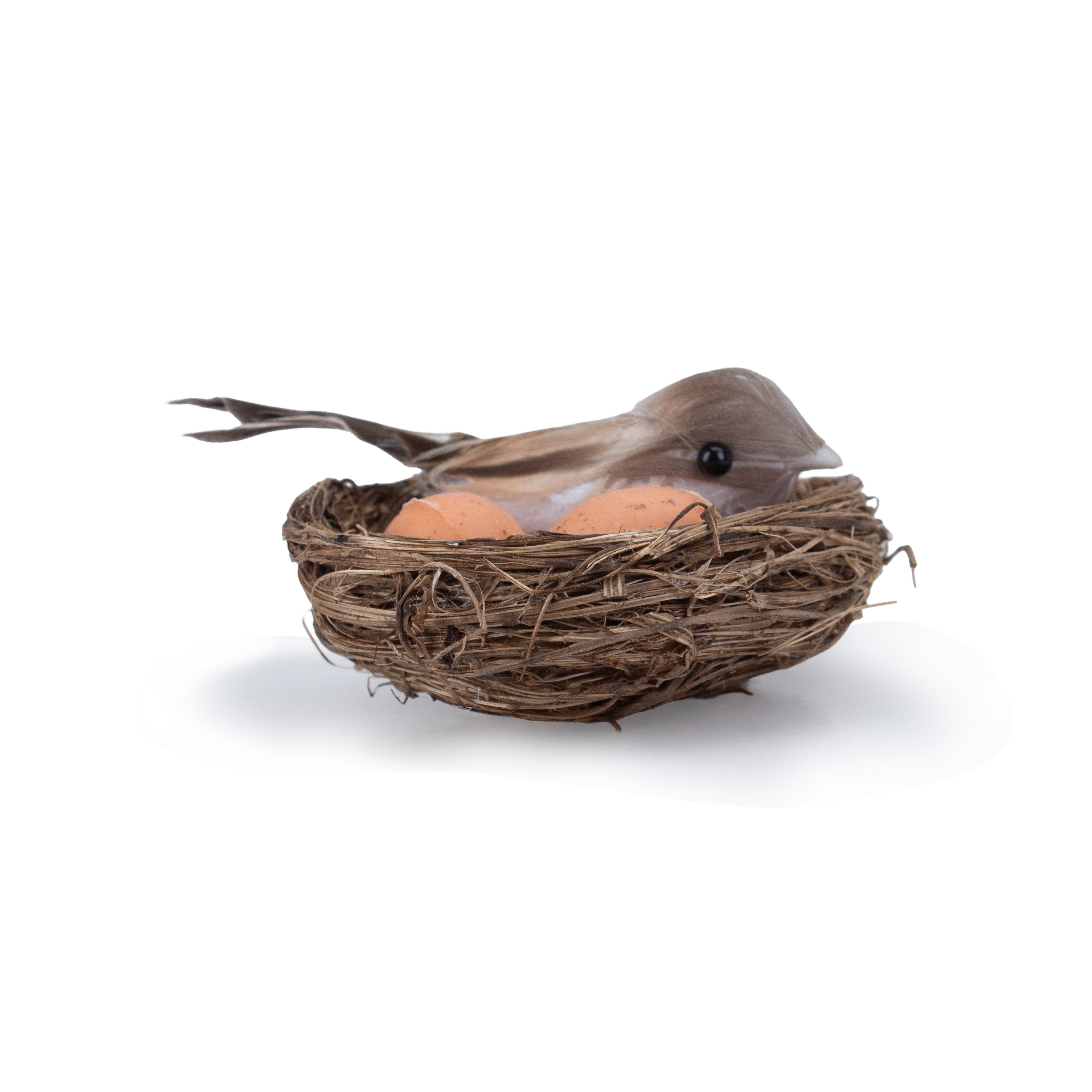 Artificial Bird & Bird Eggs