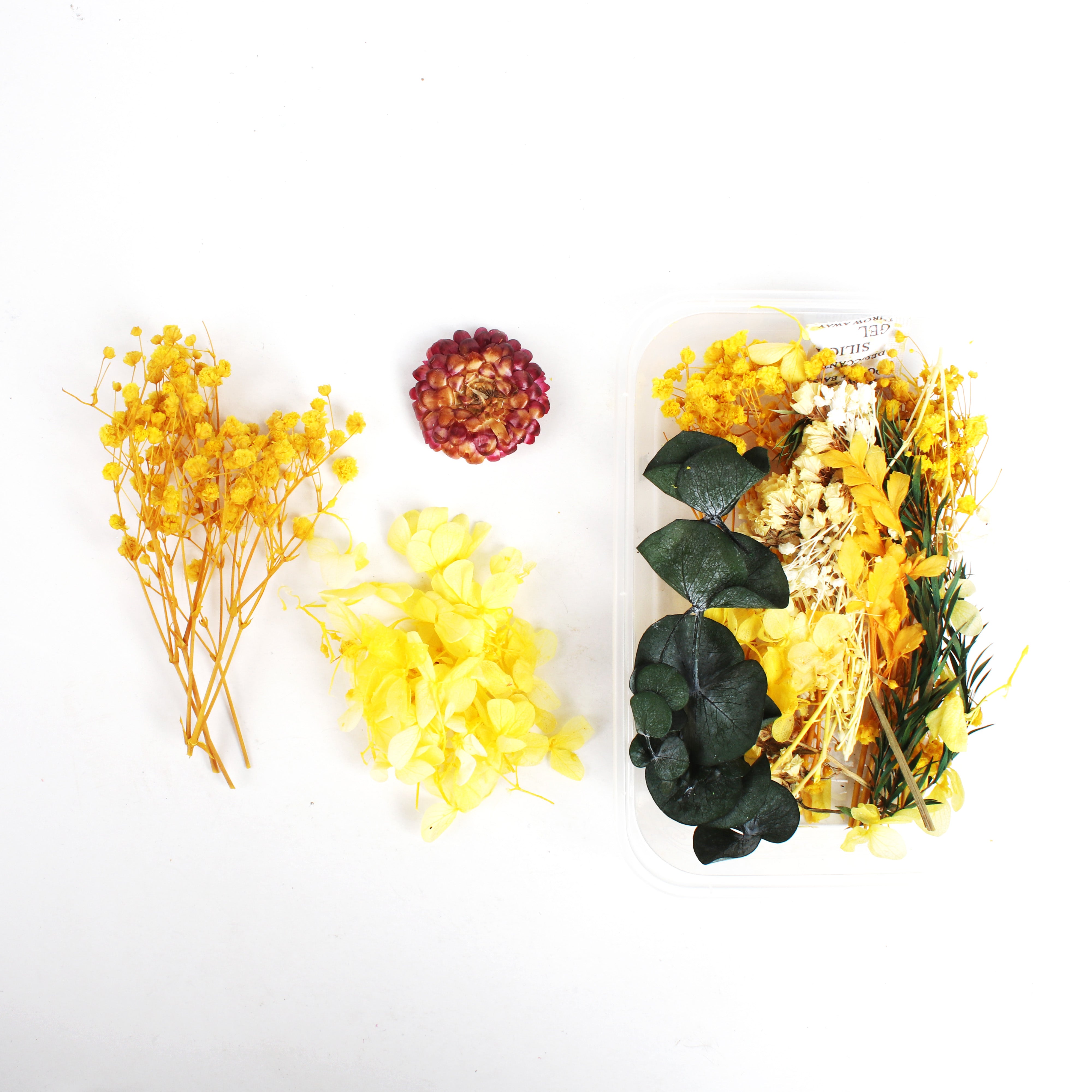 Assorted Natural Dried Flowers Sun And Snow 1Box