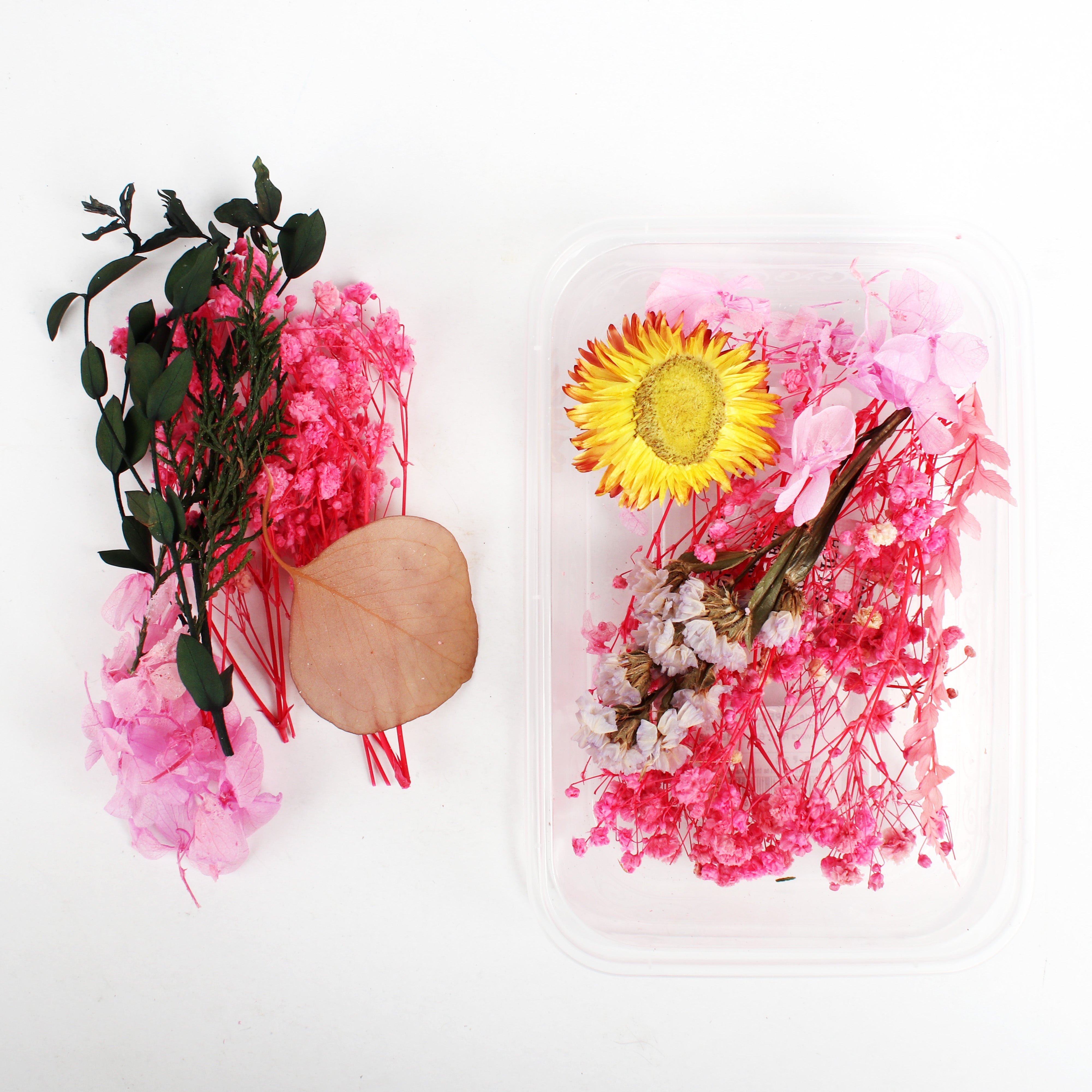Assorted Natural Dried Flowers Rosy Blooms 1Box