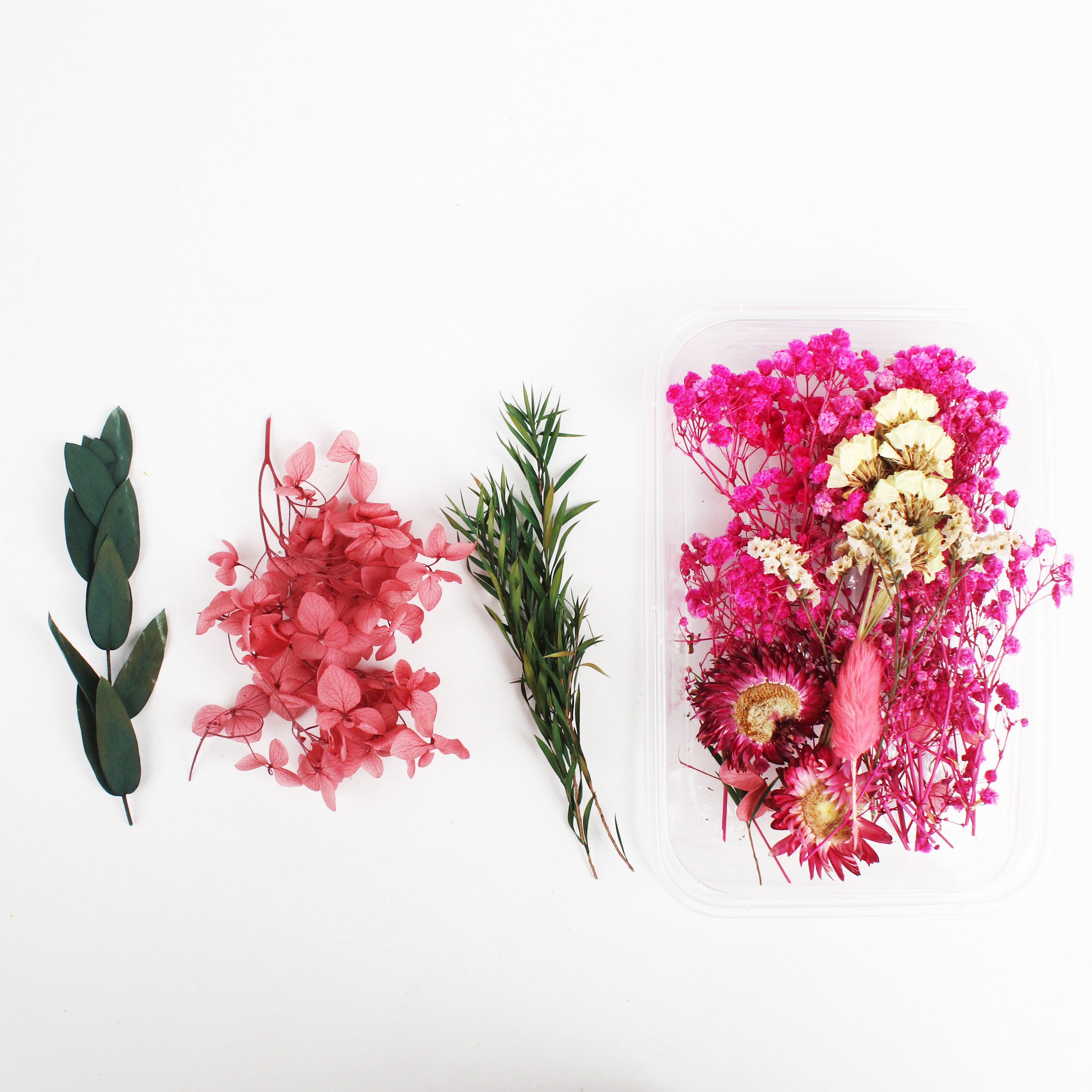 Assorted Natural Dried Flowers Rosy Glow Blossoms 1Box