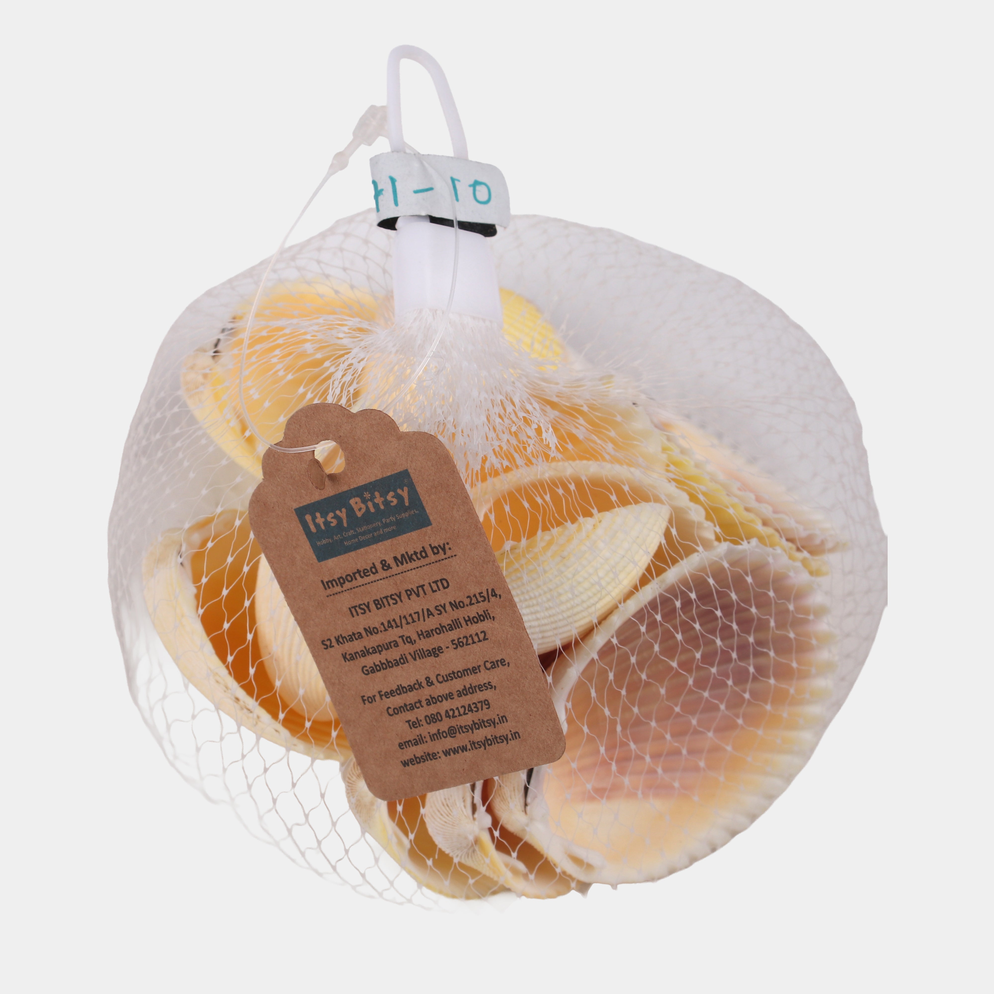 Seashell Ribbed Ark Natural Brown 100gm Net pouch