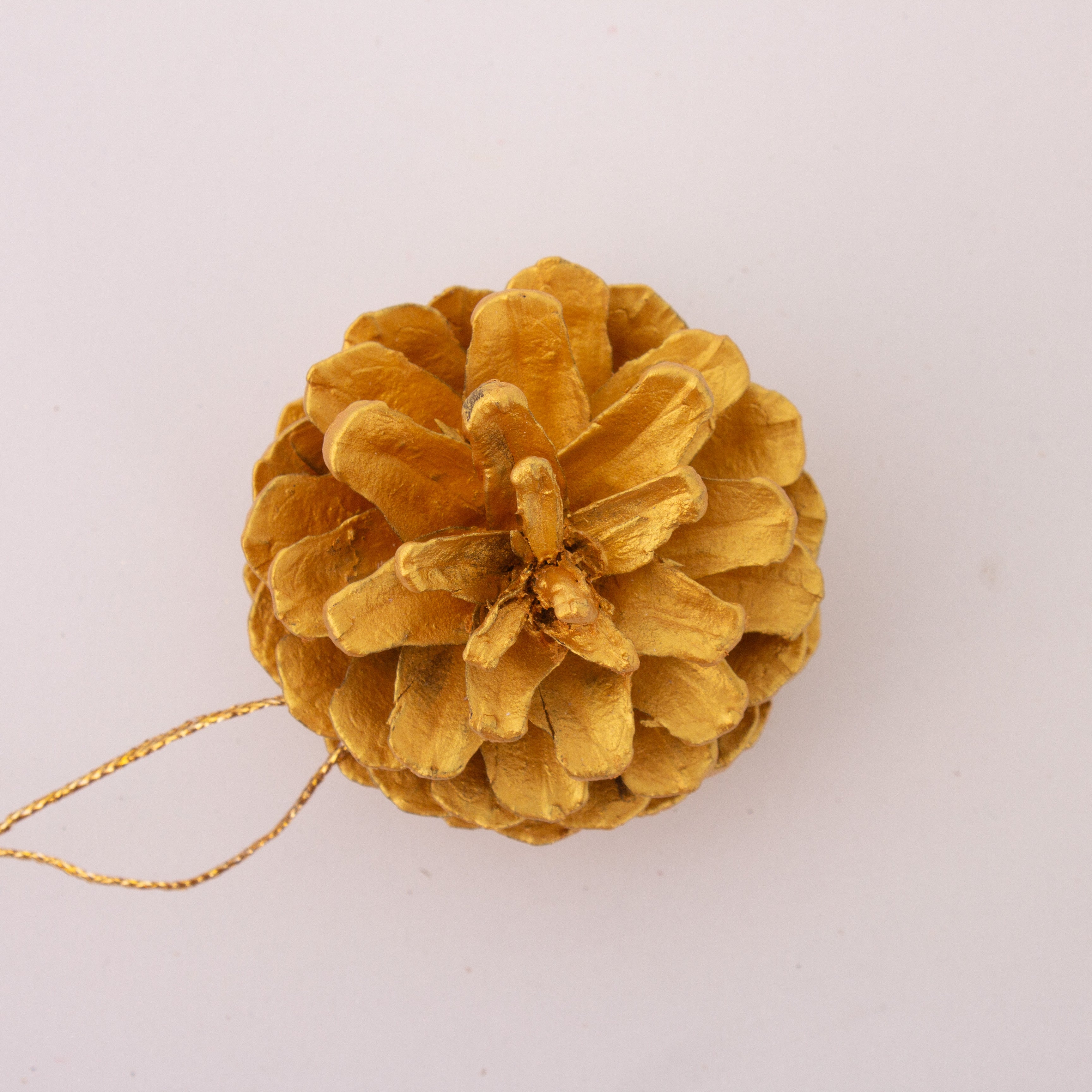 Natural Dried Pine Cone Gold 5-8cms Approx Dia 1 Pc