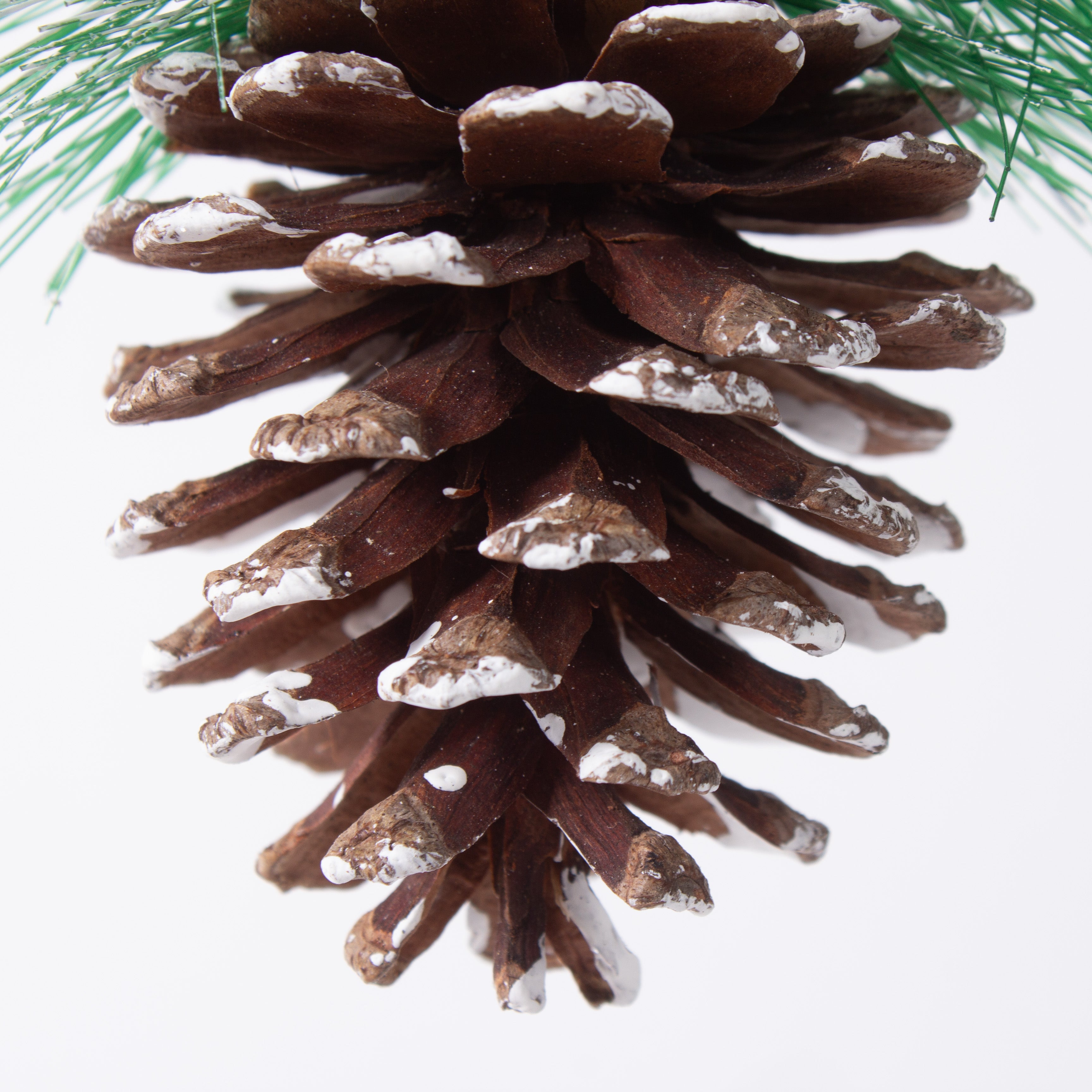 Christmas Decoration Snowy Pine Cone Hanging 10cm 1pc