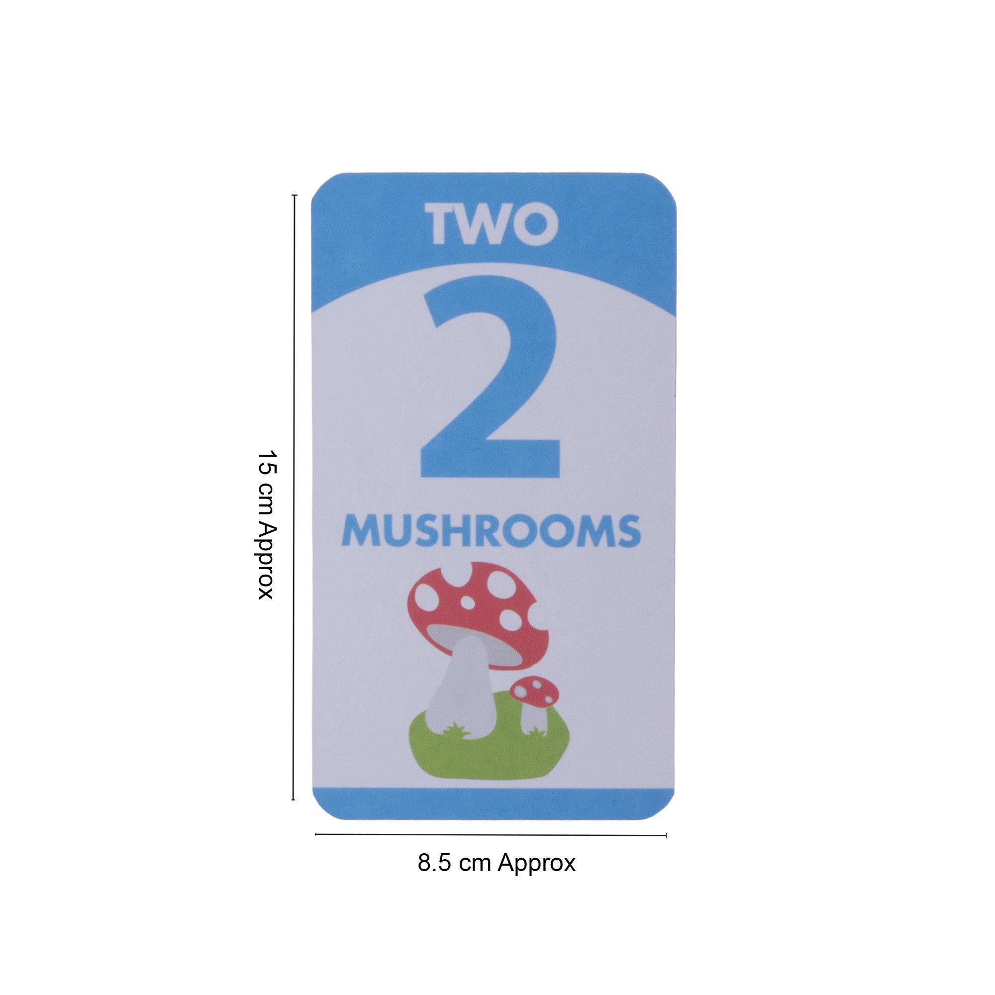 Flash Cards - Numbers L8.4 x W15cm 30pages 1Book
