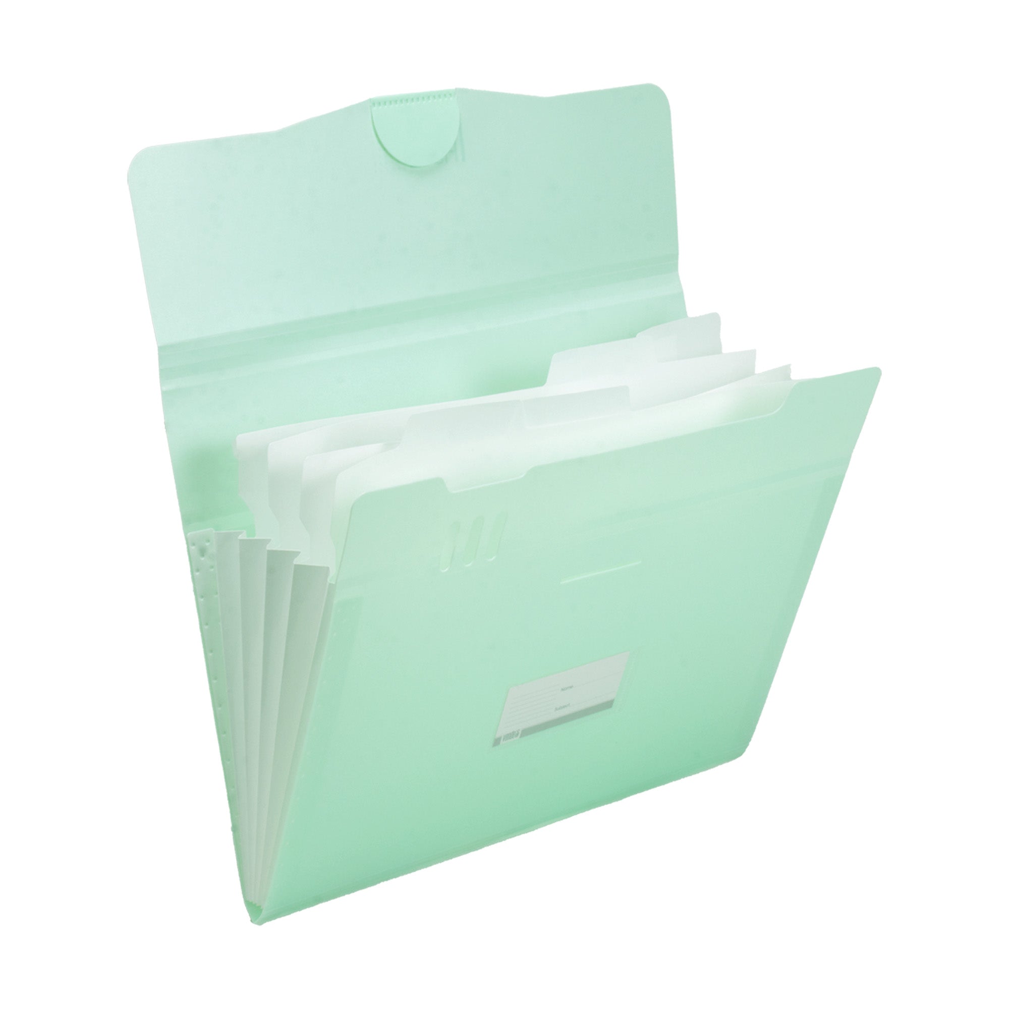 File Organizer Folder 5 Divider Flap Closure Teal A4 1pc
