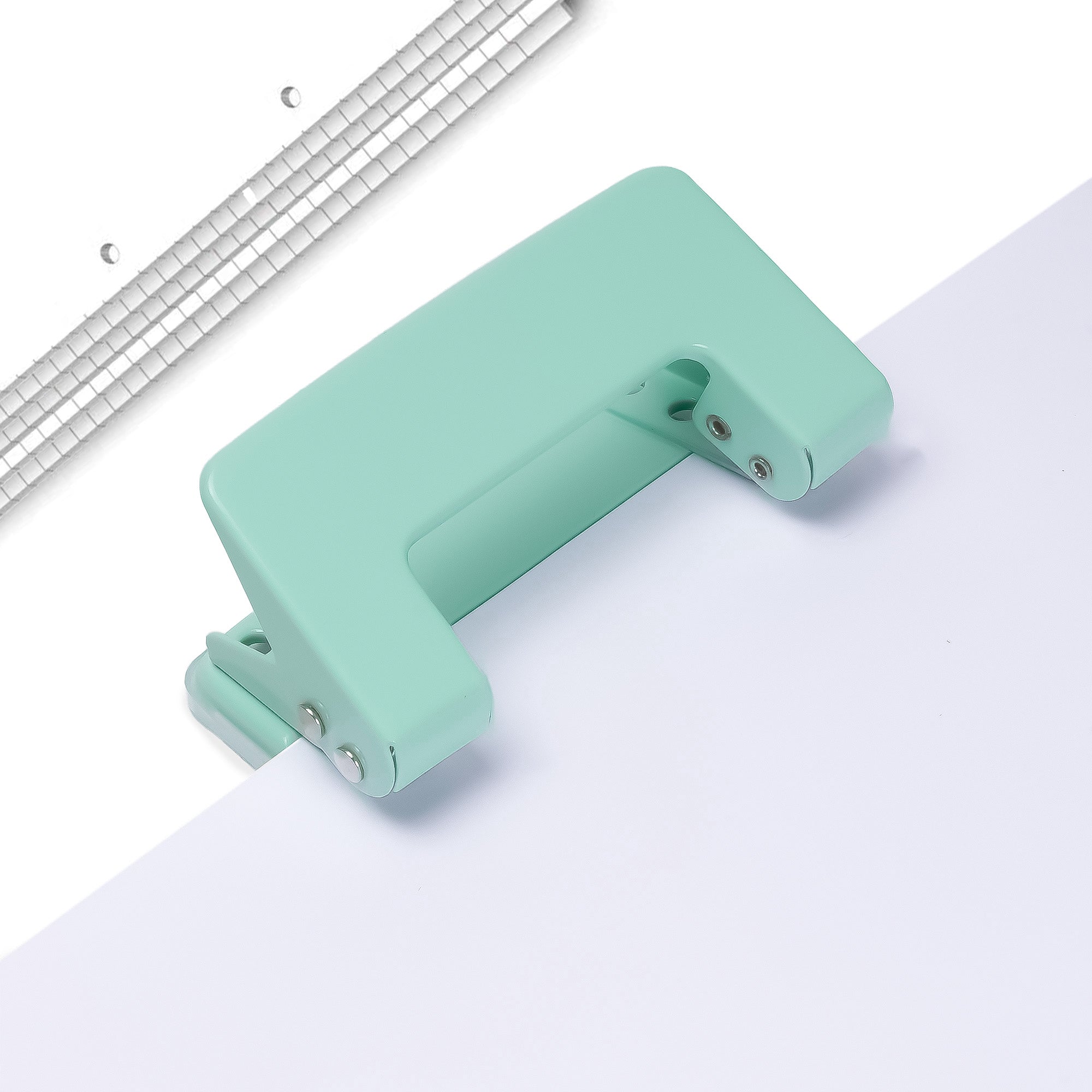 Double Hole Punch Teal 1pc Blister