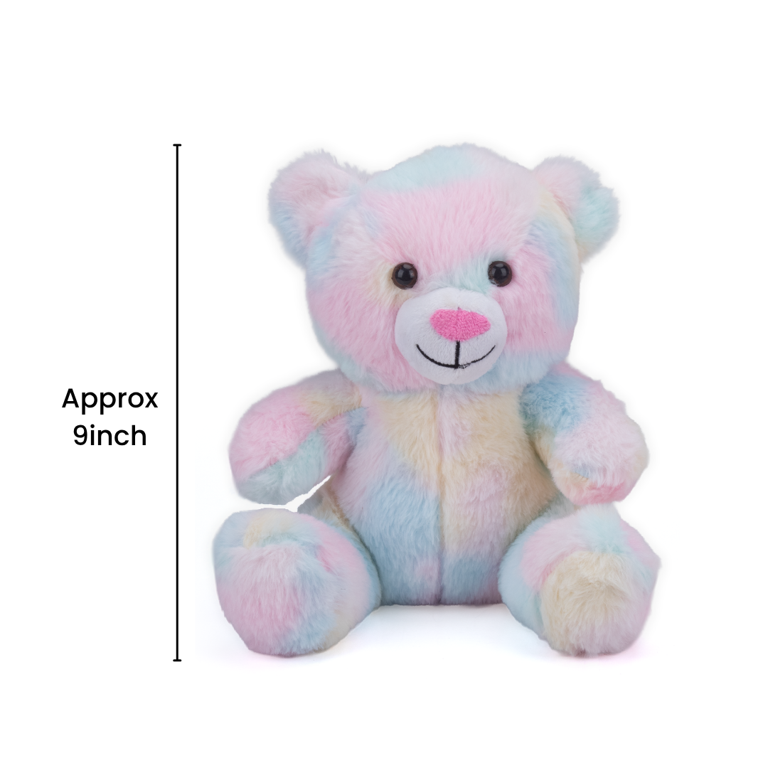 Soft Toy Teddy Bear Multicolor 9inch 1pc IB