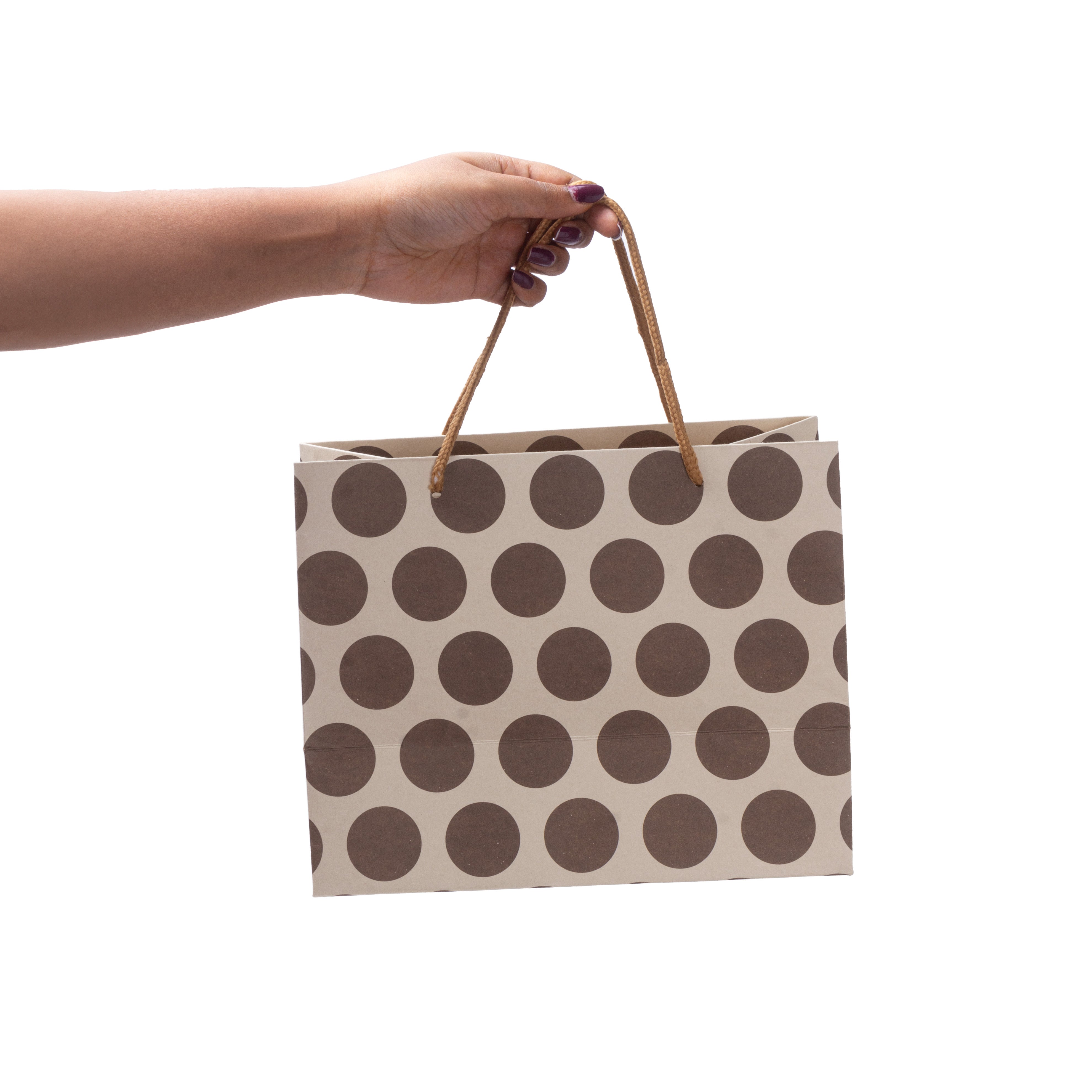 Paper Gift Bag Polka Dot Brown 10x8inch 1pc