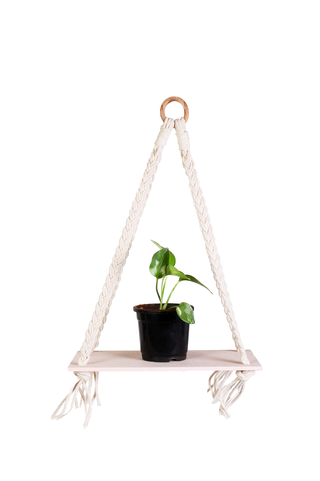 DIY Macrame Hanging Shelf Kit 1Box Itsy Bitsy