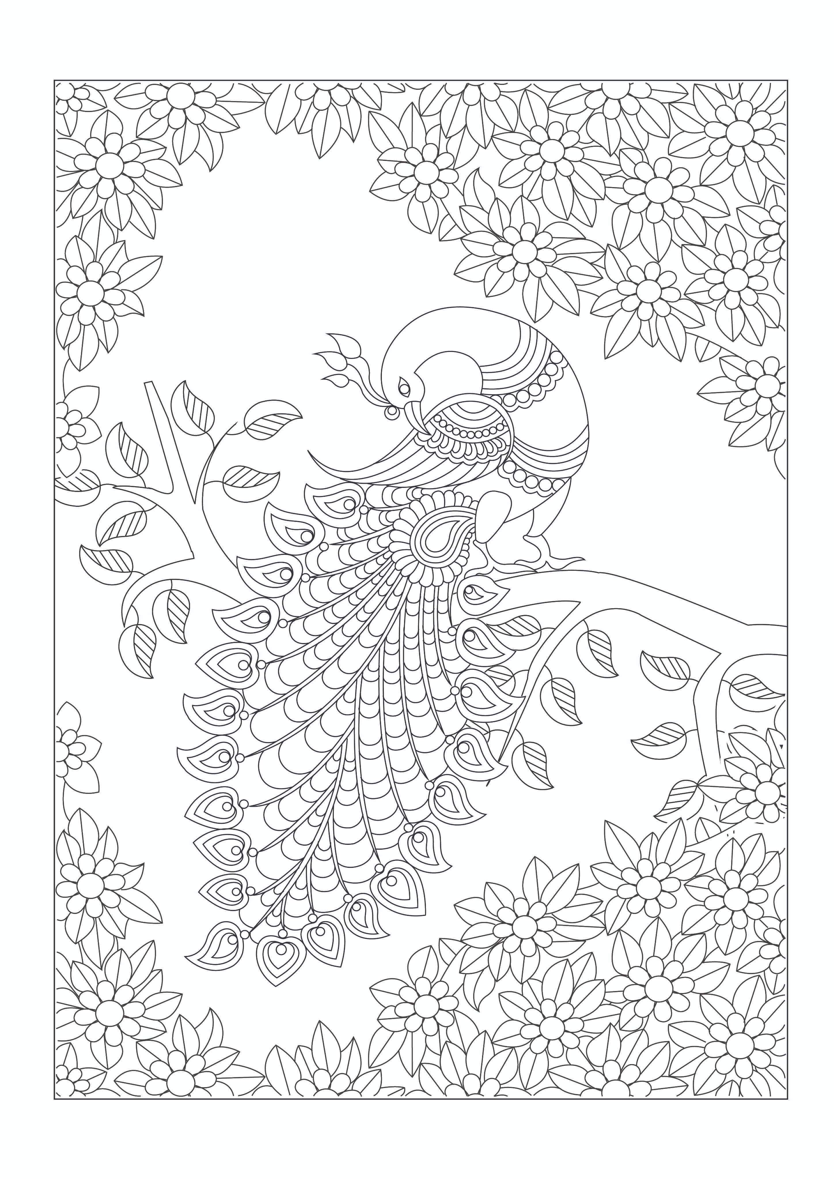 Arts of India Colouring Book