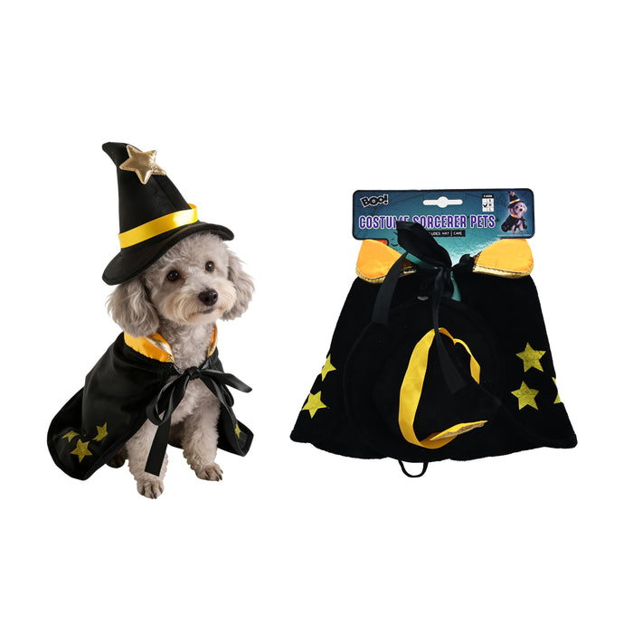 Costume Sorcerer Pets