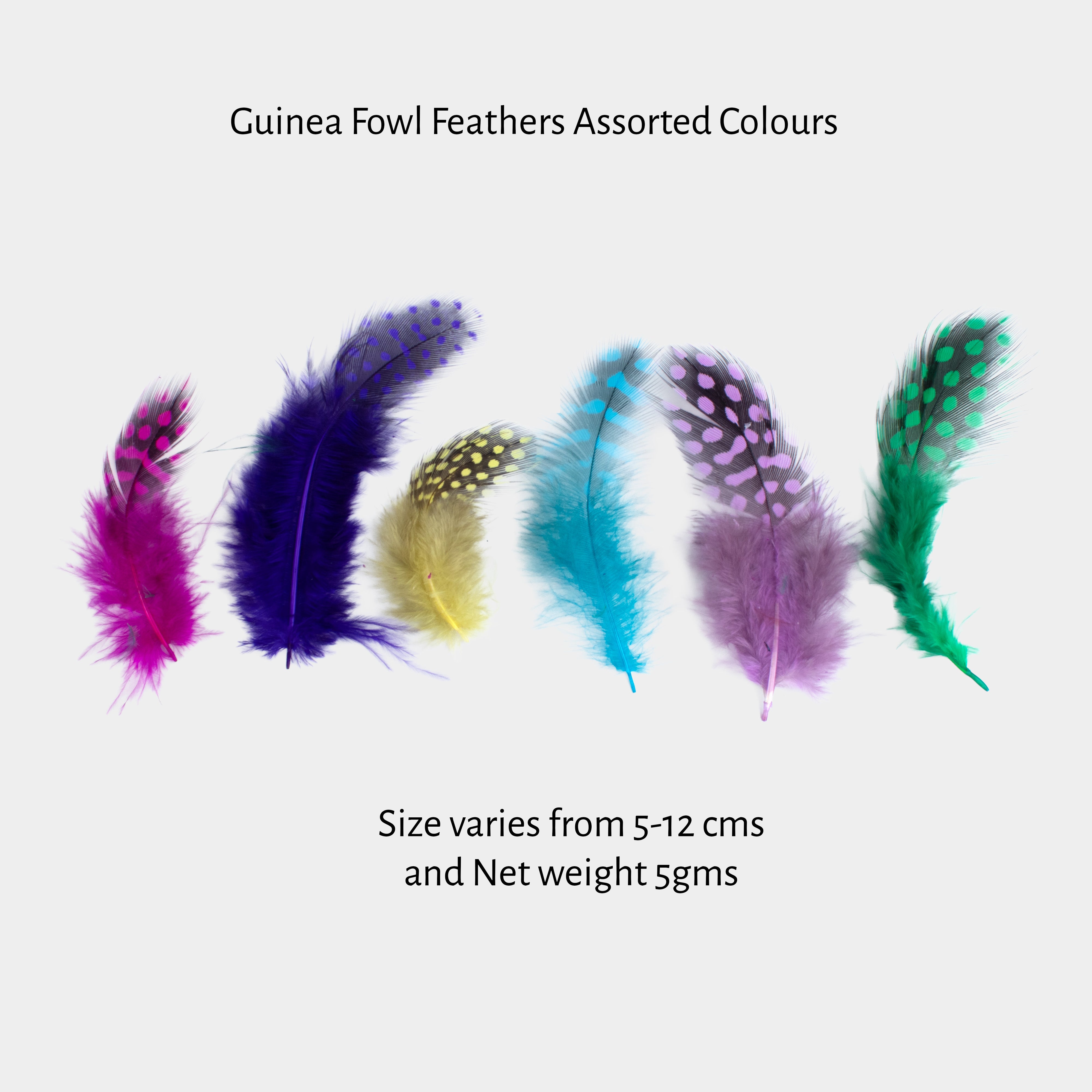 Guinea Fowl Feathers Assorted Colours 5 to 12cm 5gm