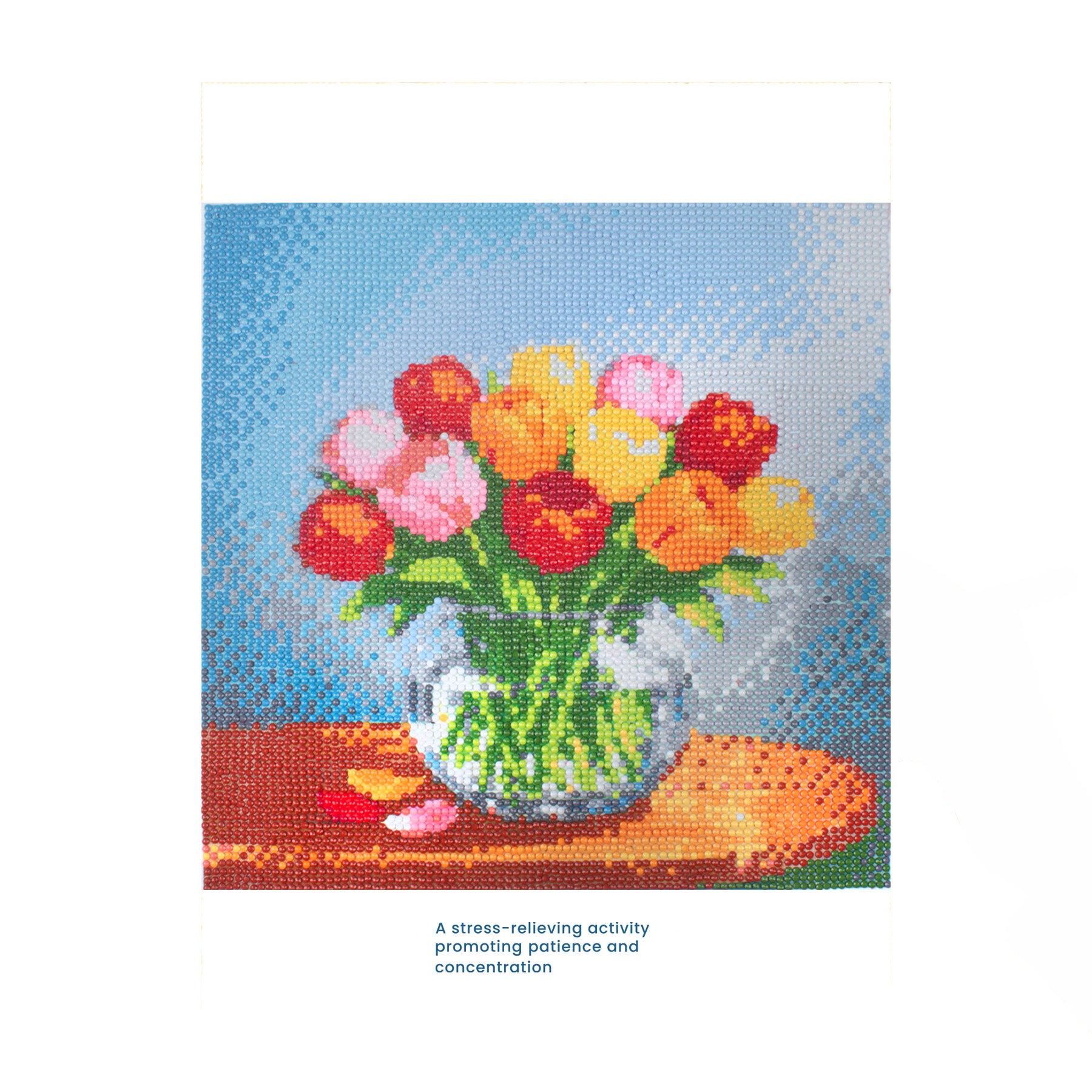 5D Diamond Painting Kit Tulip Display 30 X 30cm 1pc Acetate Box
