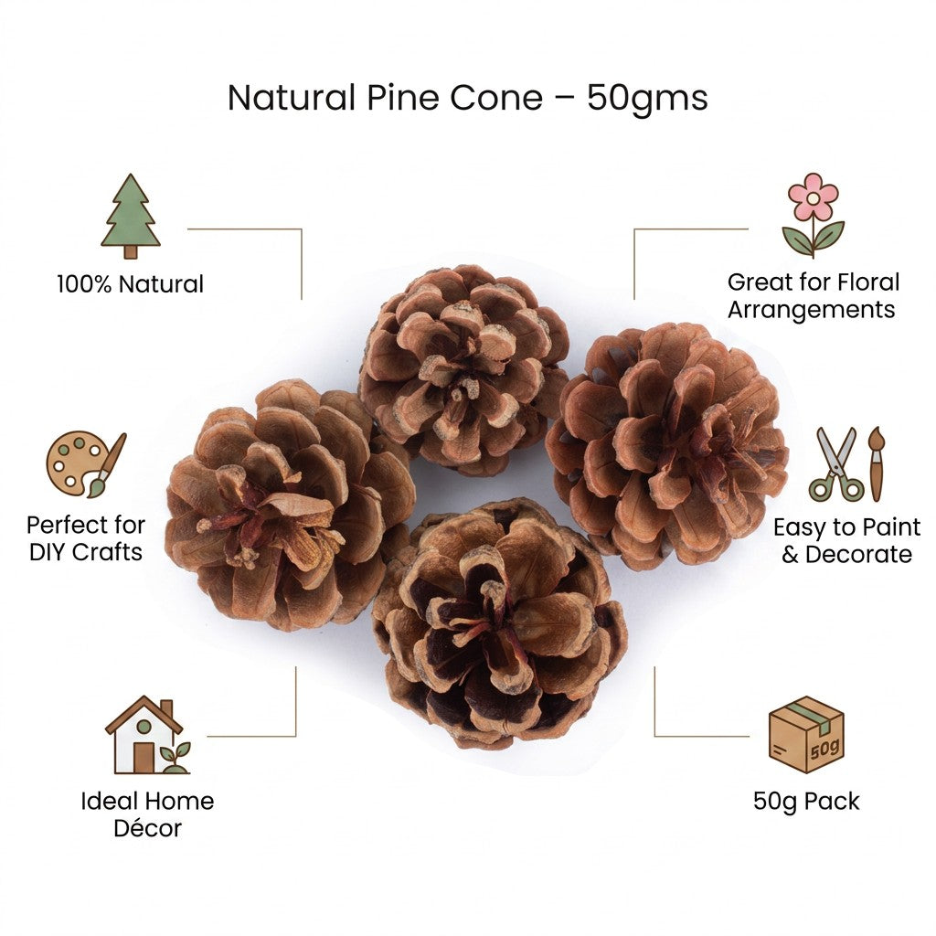 Pine Cone - 50gm