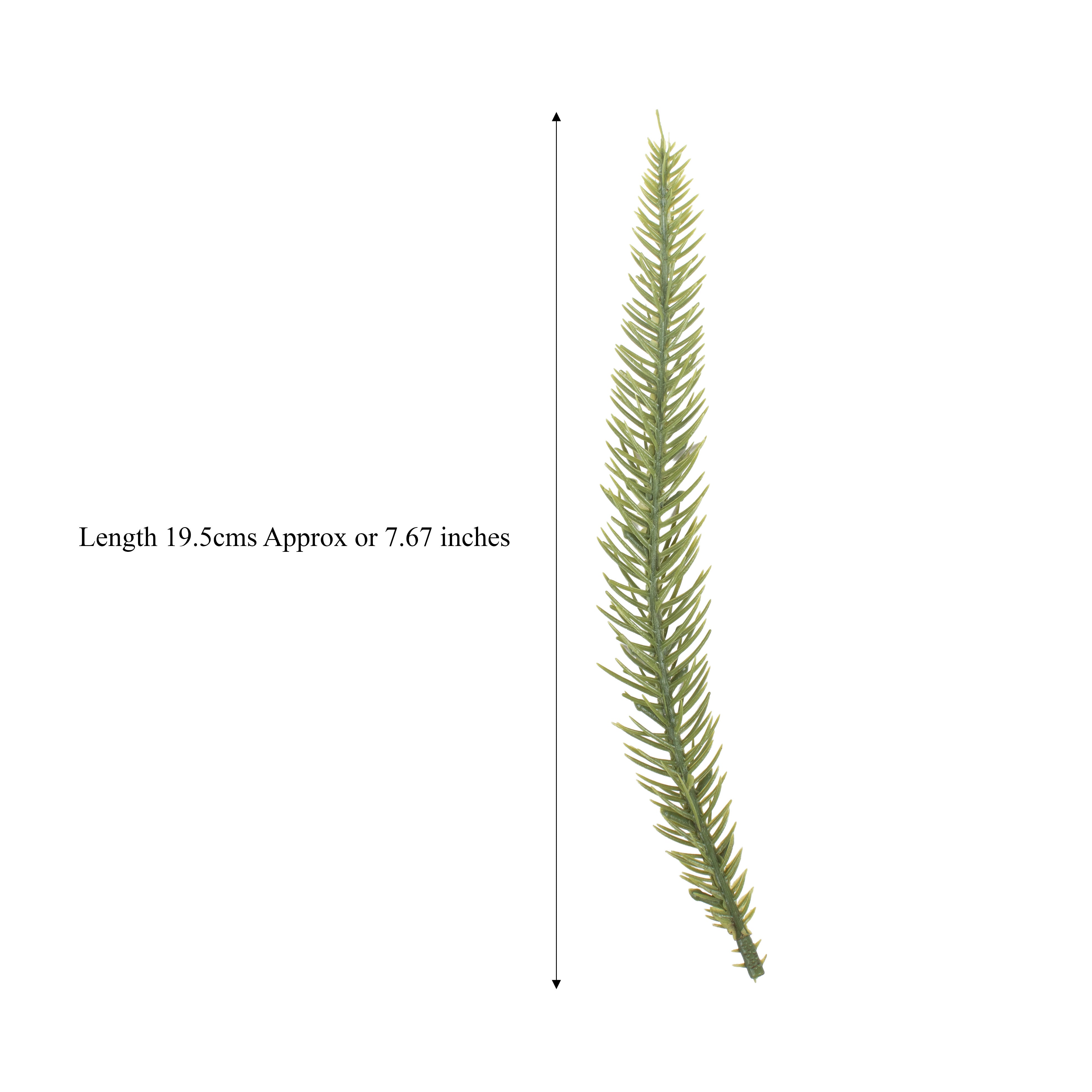 Sea Weed Green 16pc