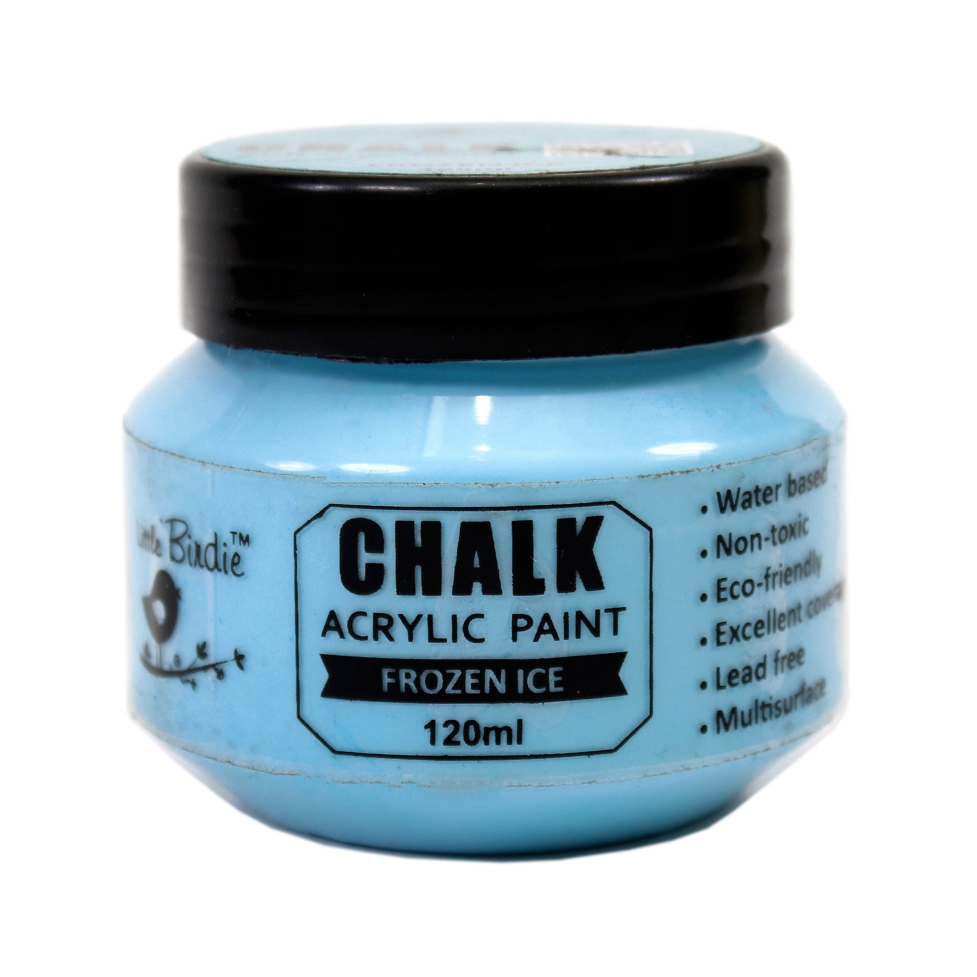 Home Decor Chalk Paint Frozen Ice 120ml Bottle