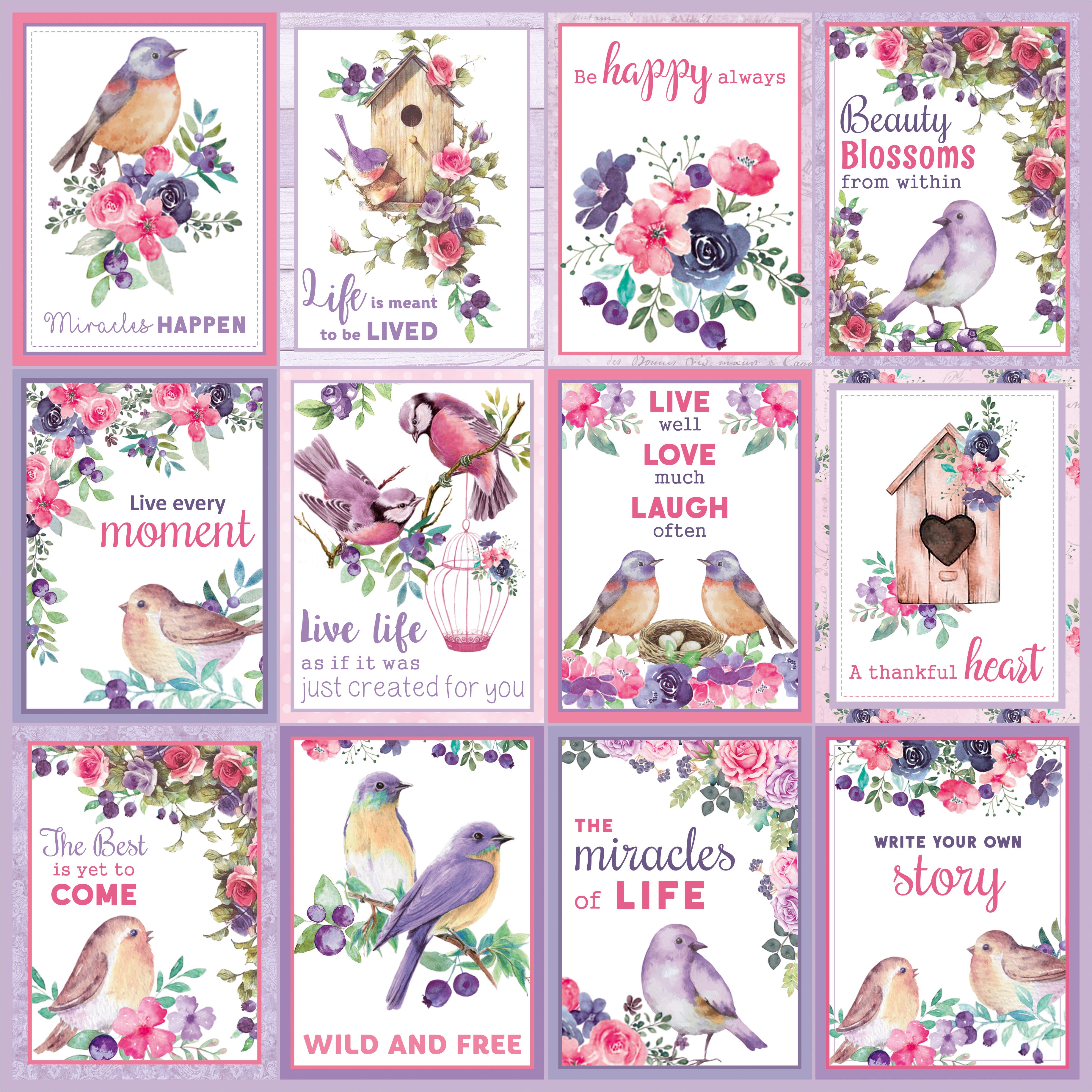 Paper Pack 12In X 12In Birds And Berries 12Sheet Lb