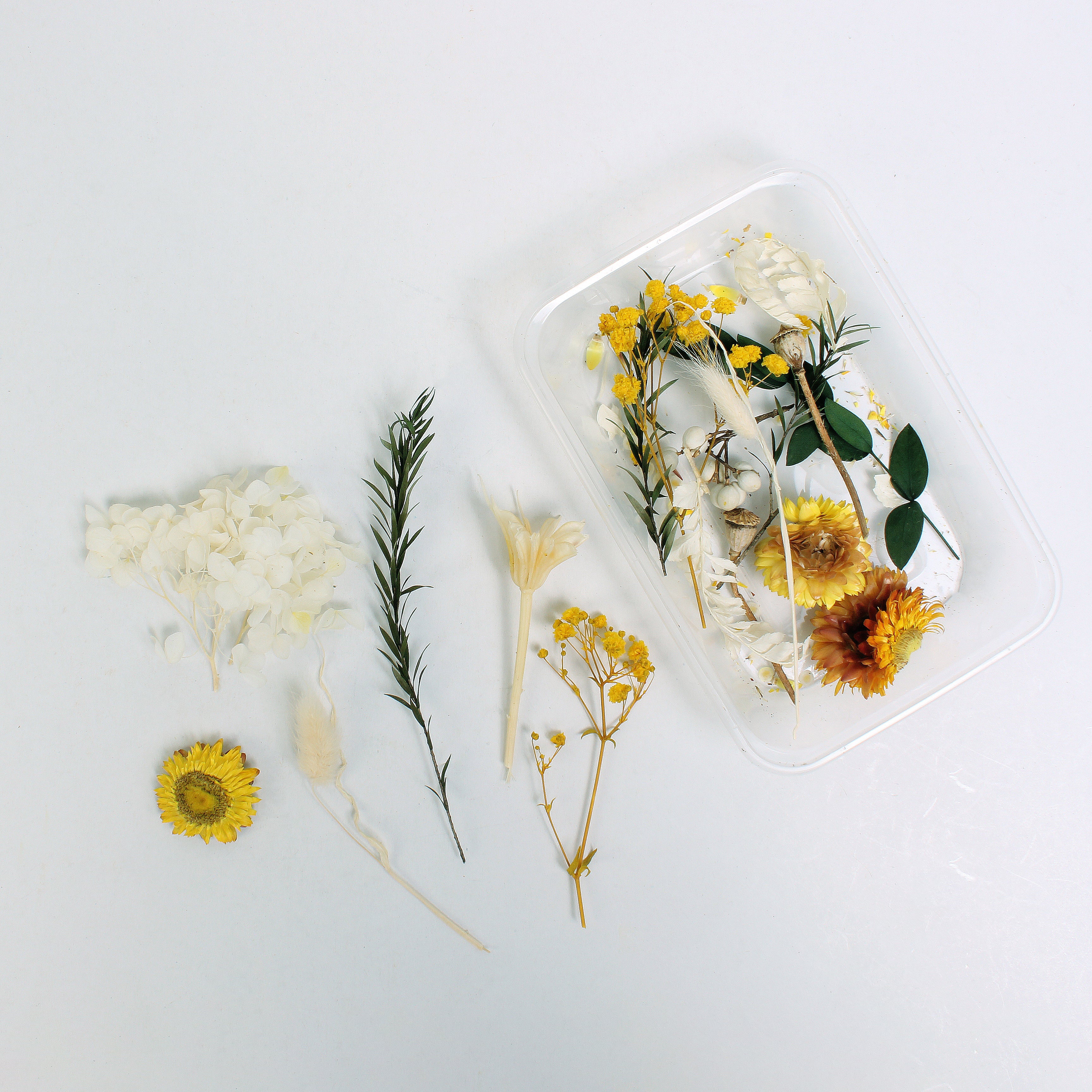 Assorted Natural Dried Flowers Sun And Snow 1Box Ib
