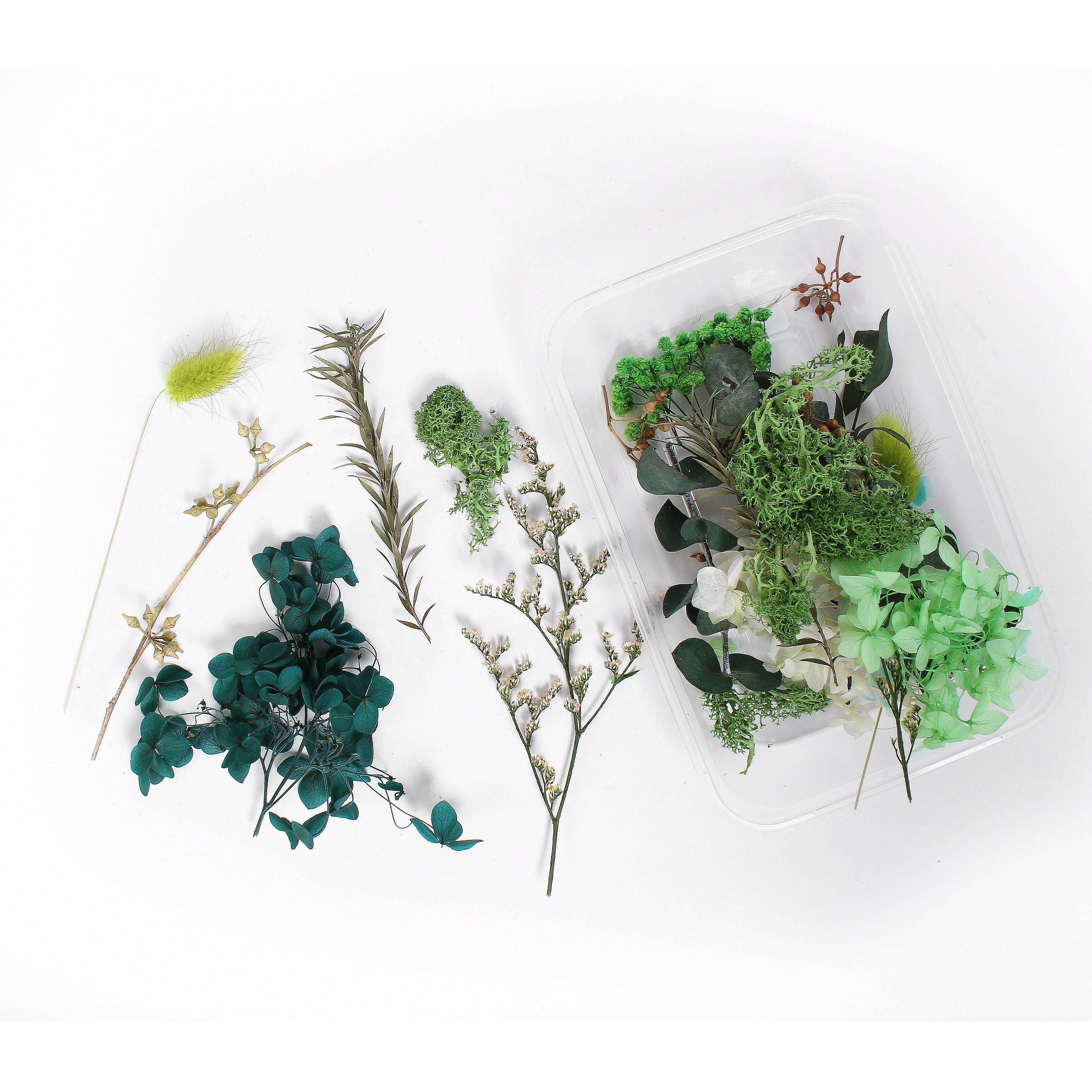 Assorted Natural Dried Flowers Green Garden 1Box Ib