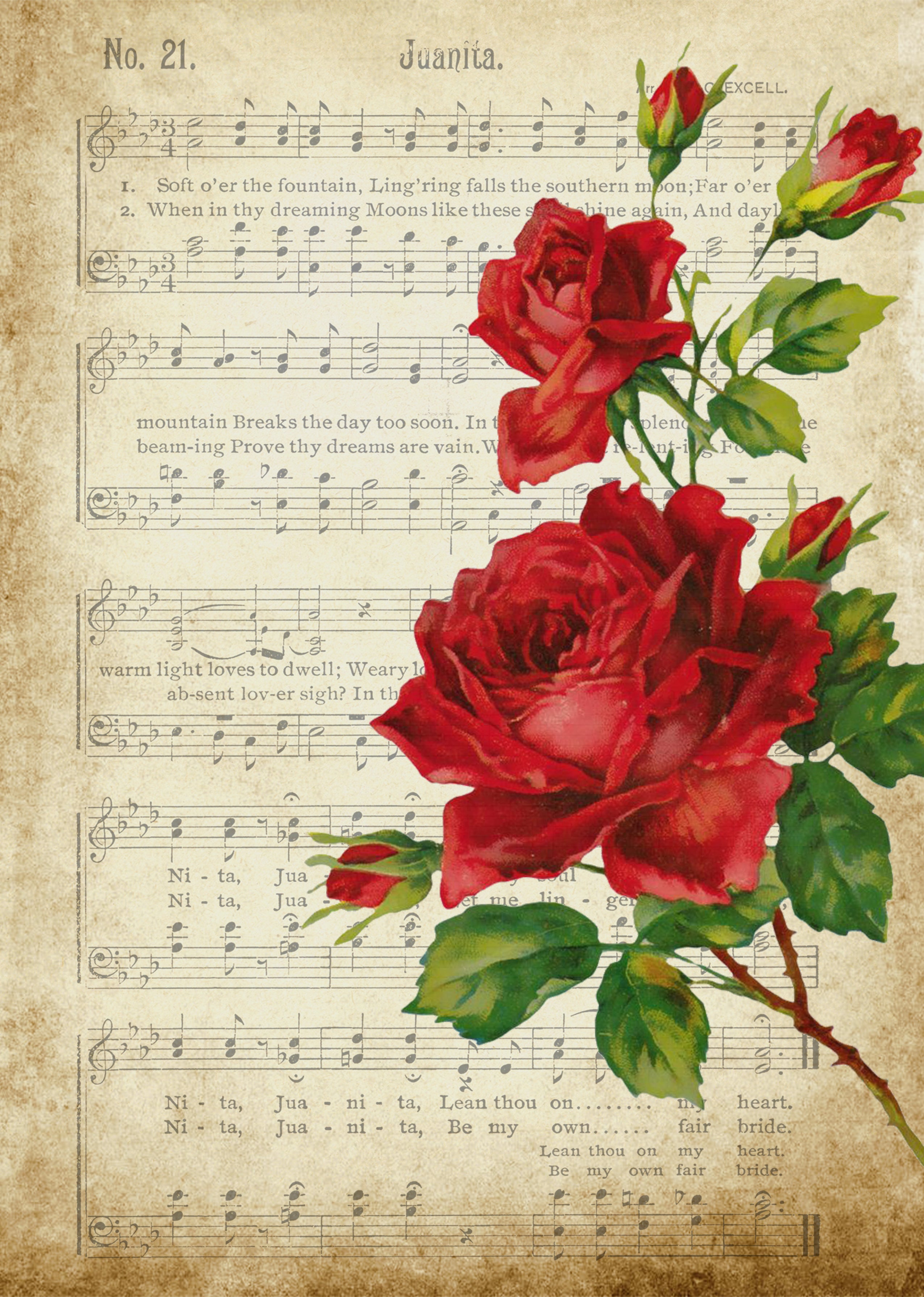 Filament Decoupage Paper Floral Tunes A4 2Sheet