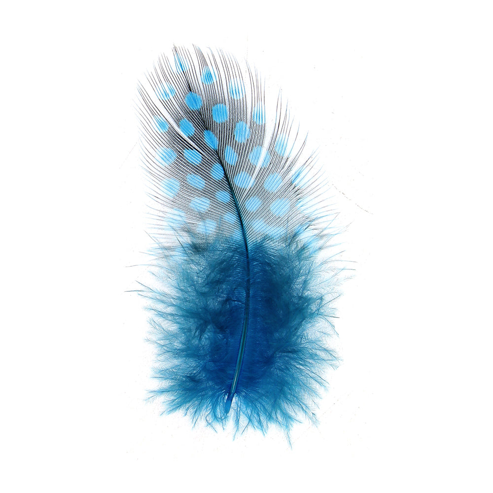 Feathers – Itsy Bitsy
