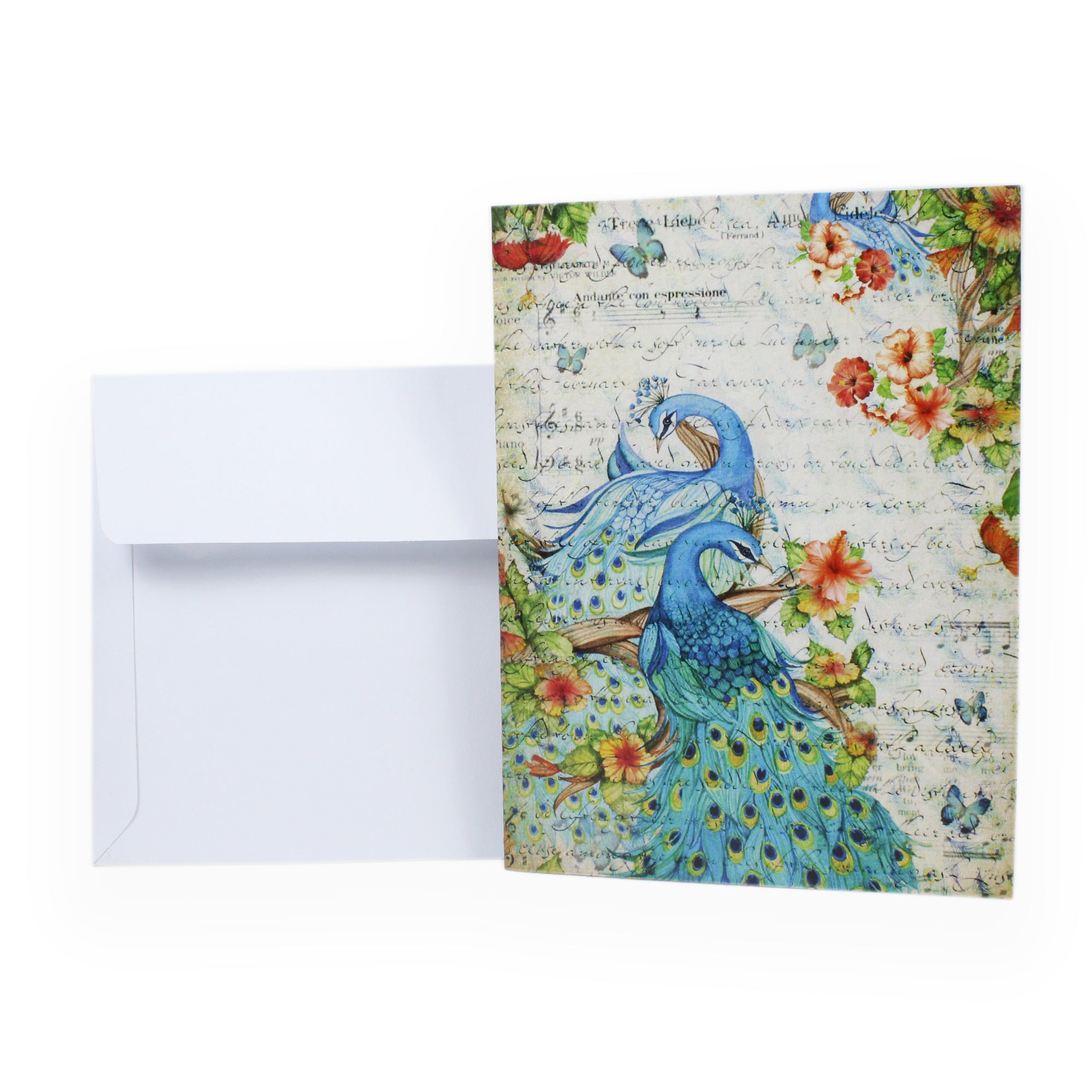 Greeting Card And Envelope Peacock Glamour 4`X6` 1Pc Lb