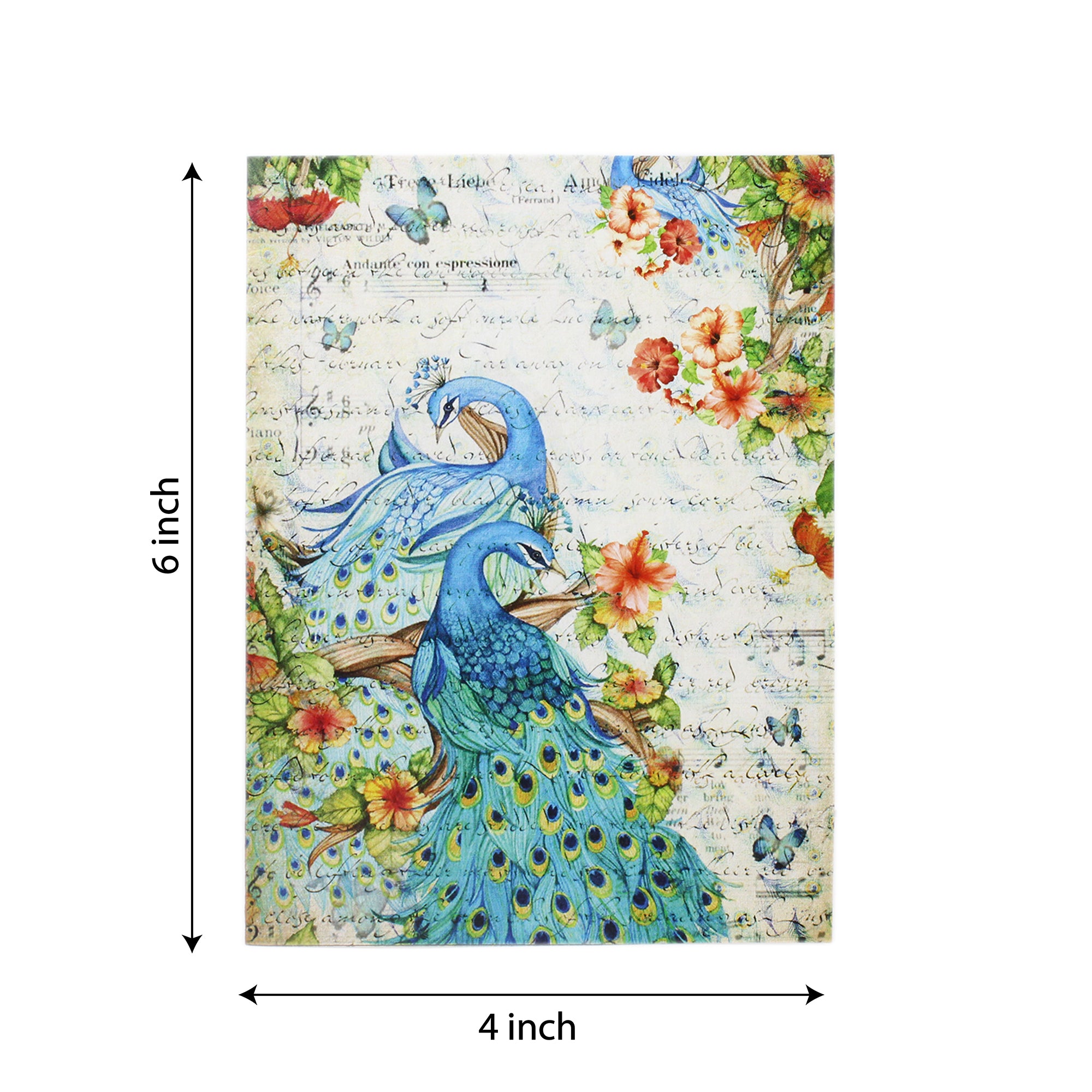 Greeting Card And Envelope Peacock Glamour 4`X6` 1Pc Lb