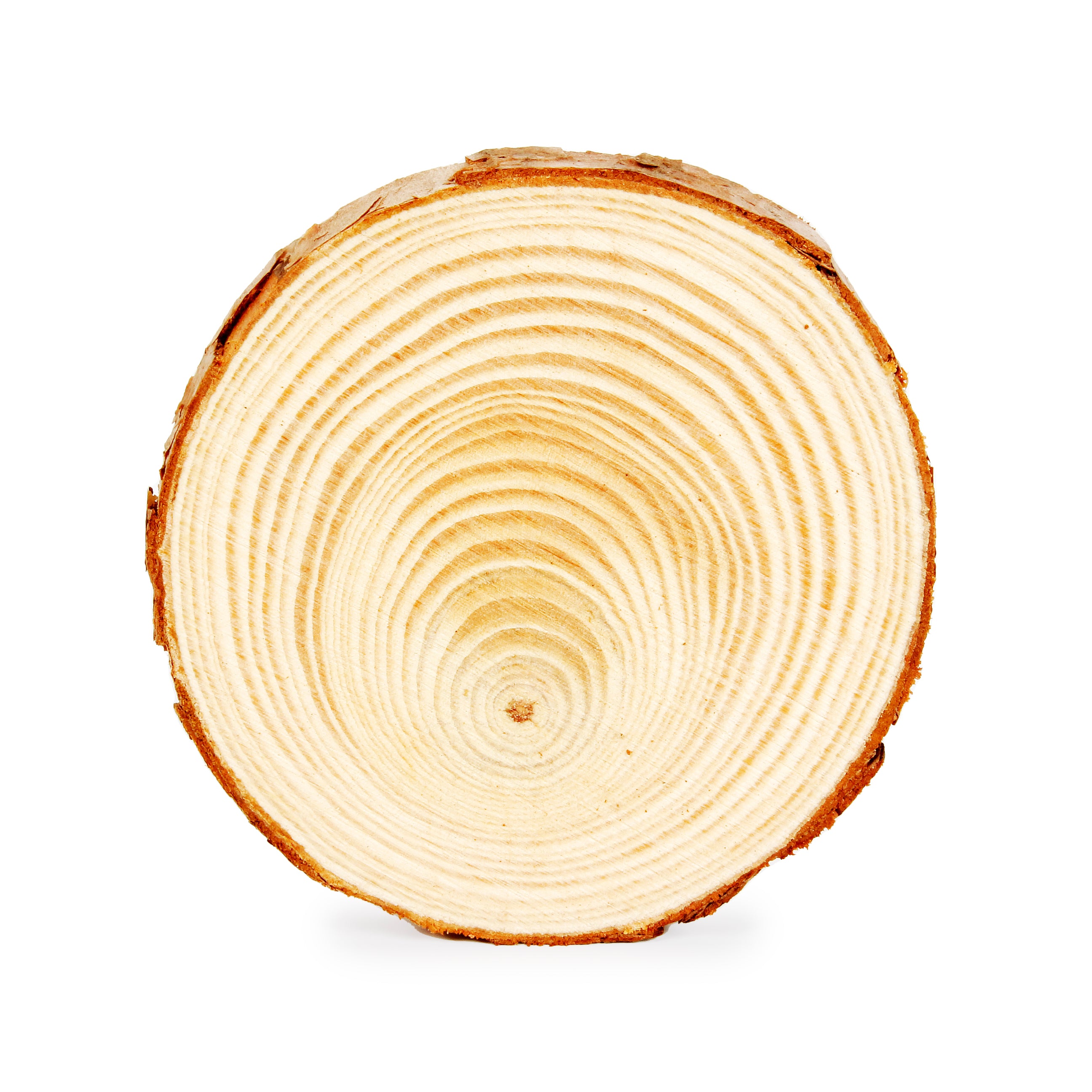 Wooden Slice 8 x 1cm 1Pc