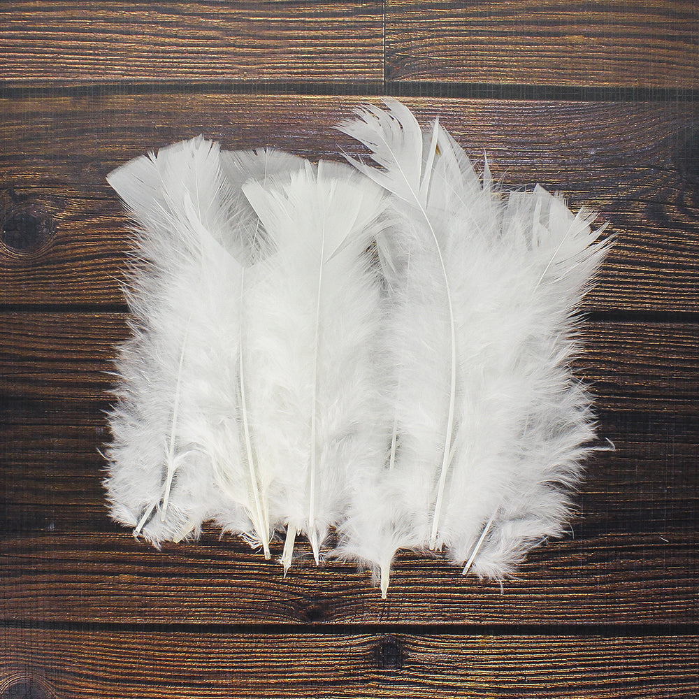 Fancy Feathers White 20 Pcs Ib