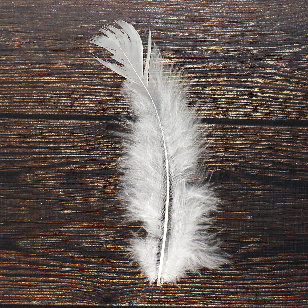 Fancy Feathers White 20 Pcs Ib
