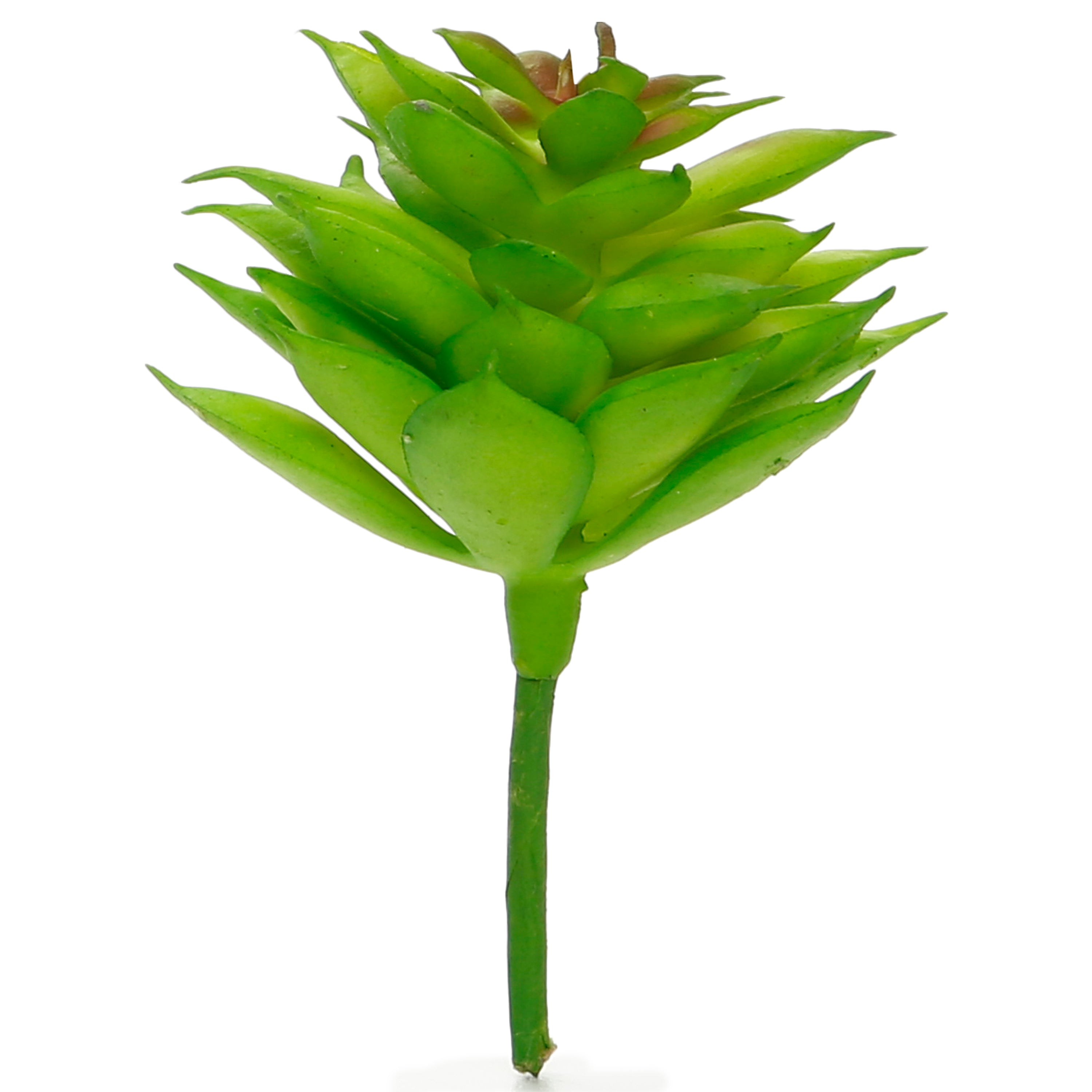 Artificial Succulent Pincushion 6Cm 1Pc Ib