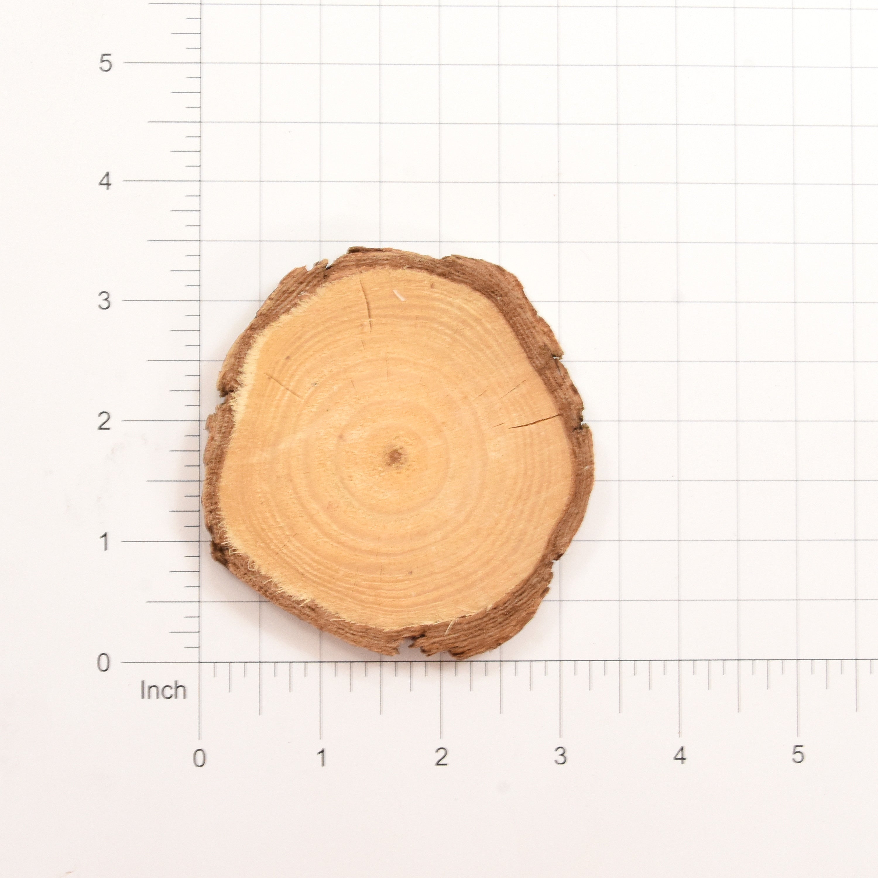 Wooden Slice - APX 7 cm 2Pc
