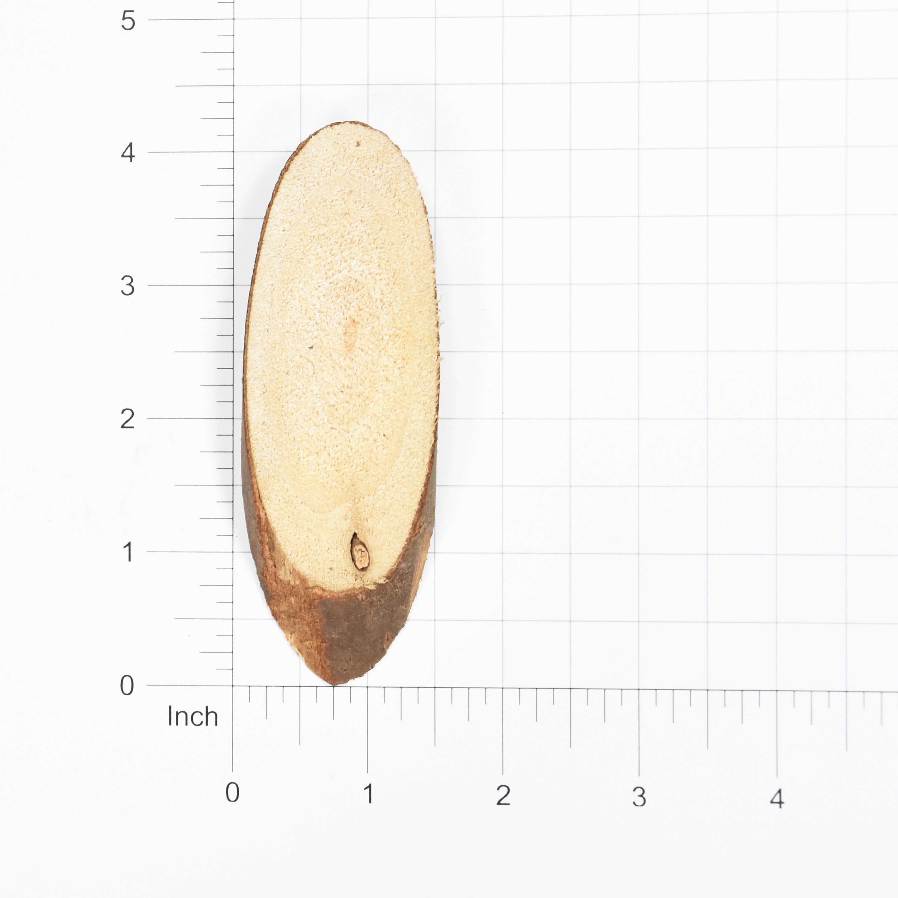 Craft Wood Slices - Oval, Big - 3.5, 4Pc