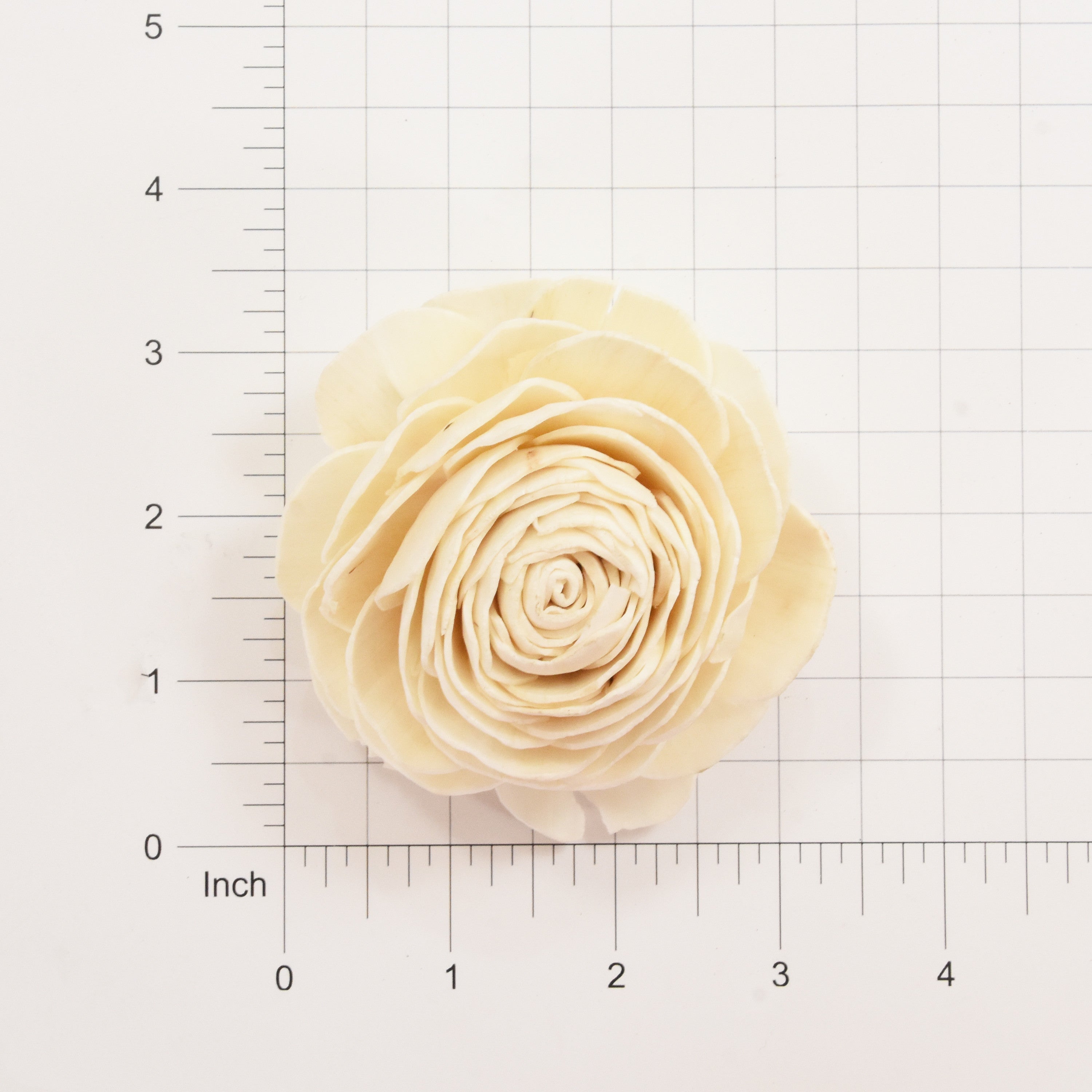 Sola Flower - Rose, 2Pc
