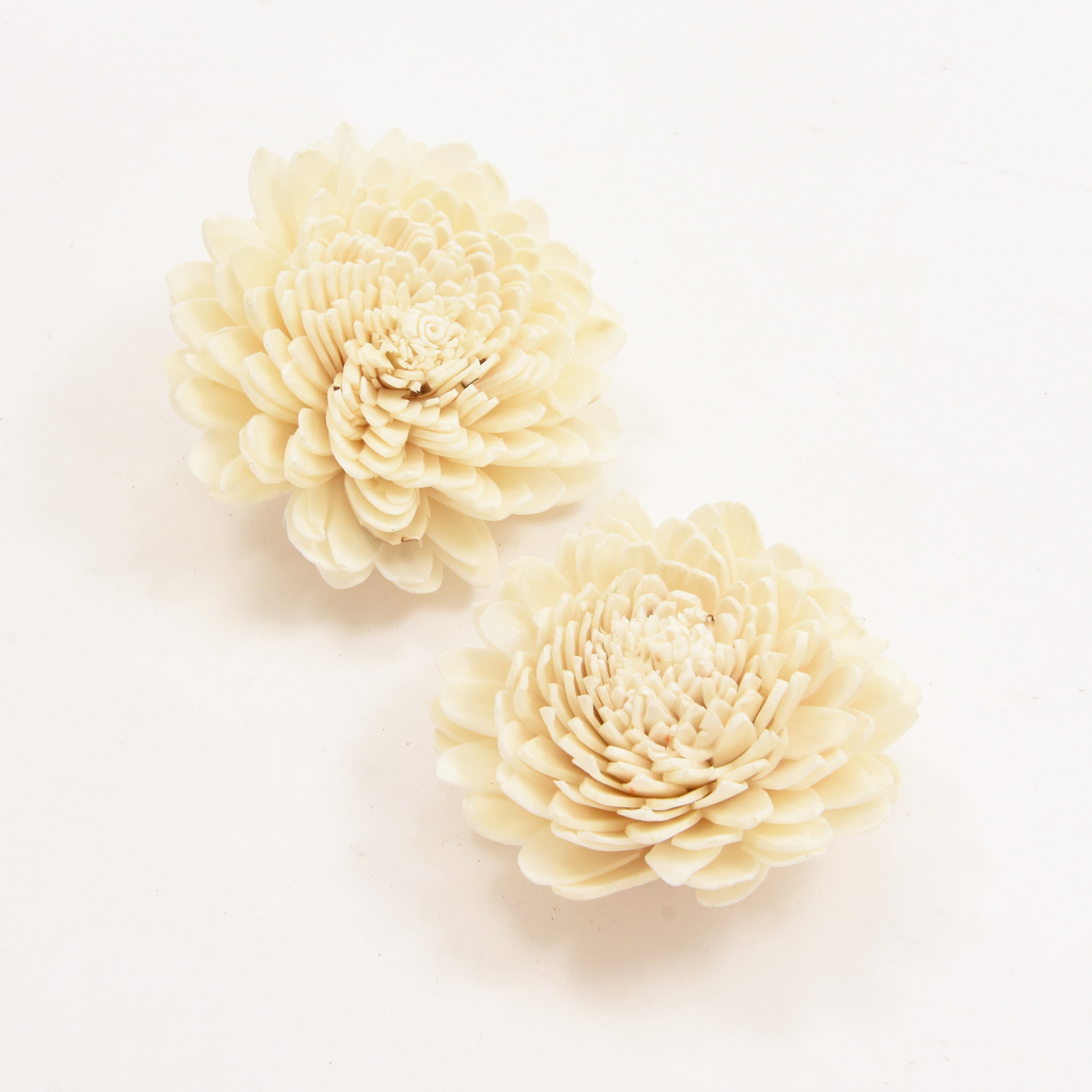 Sola Flower- Chrysanthemum, 2Pc