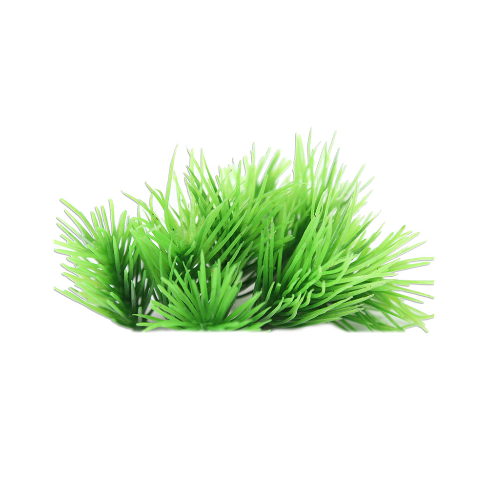 Succulent Grass Green 8Pc Pbhc Ib