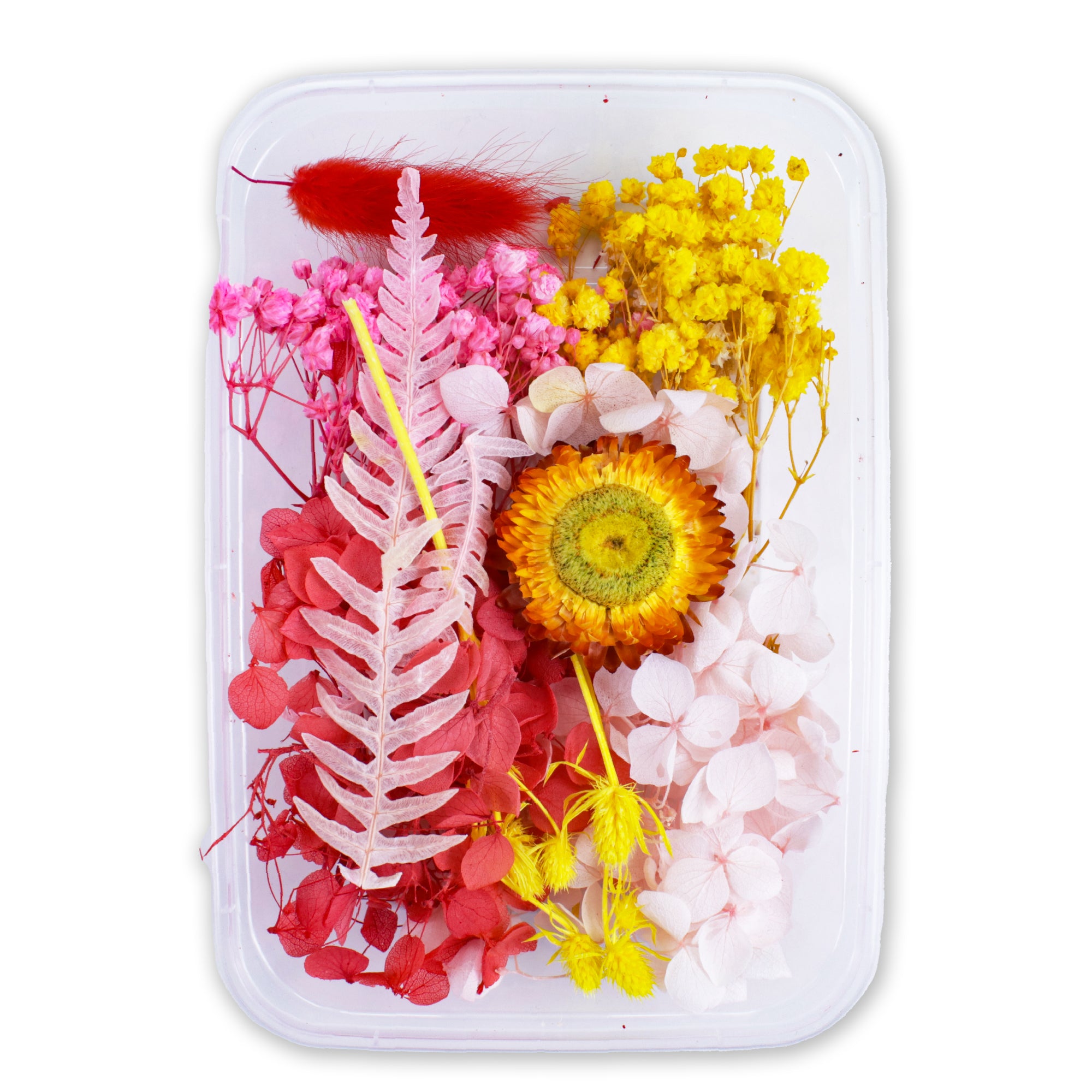 Resin Art Natural Dried Flowers Spring Bouquet 1 Box Ib