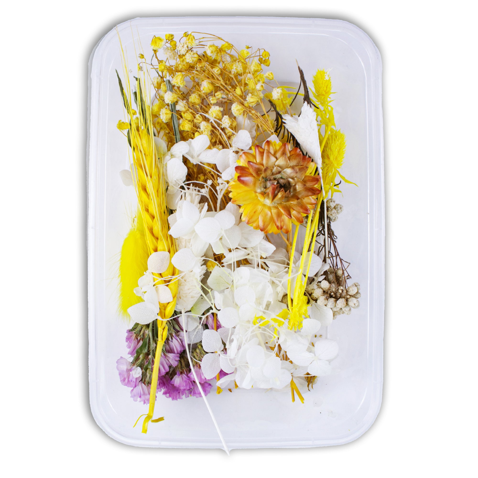 Resin Art Natural Dried Flowers Sunny Meadow 1 Box Ib