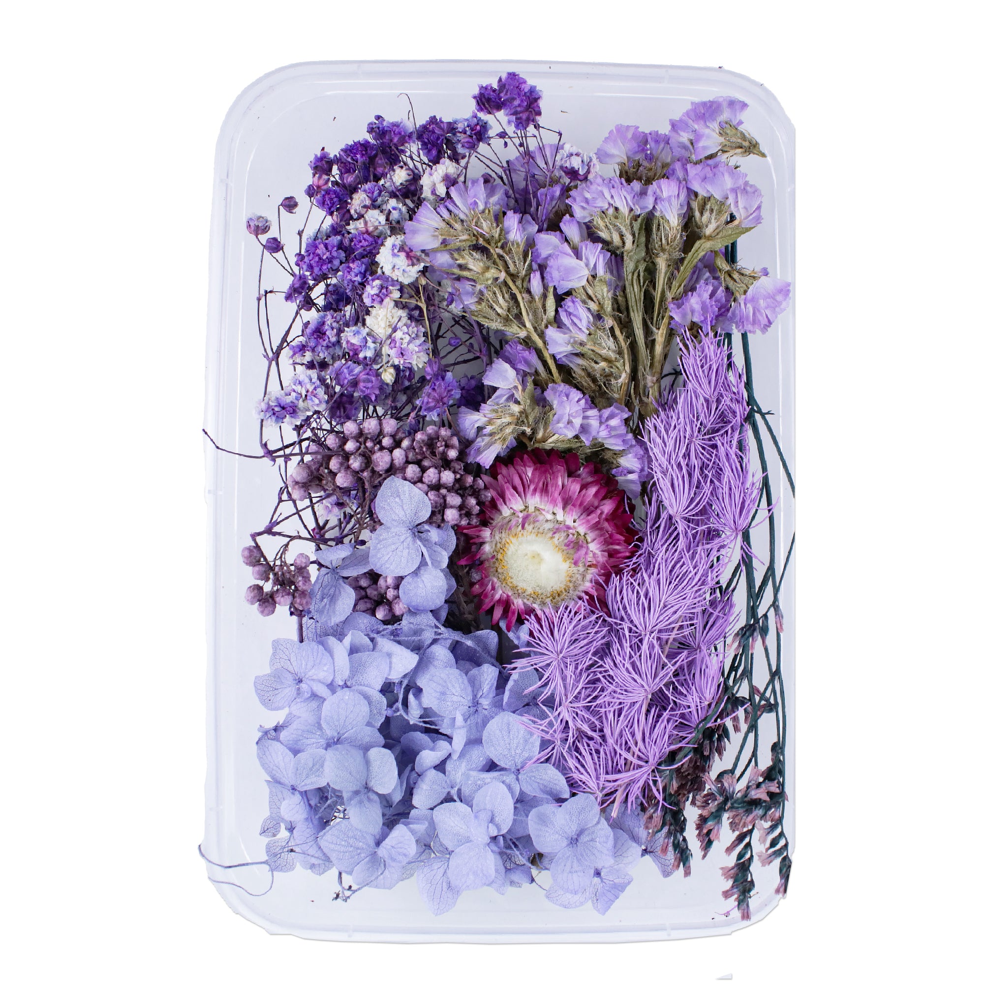 Resin Art Natural Dried Flowers Blossom Beauty 1 Box Ib