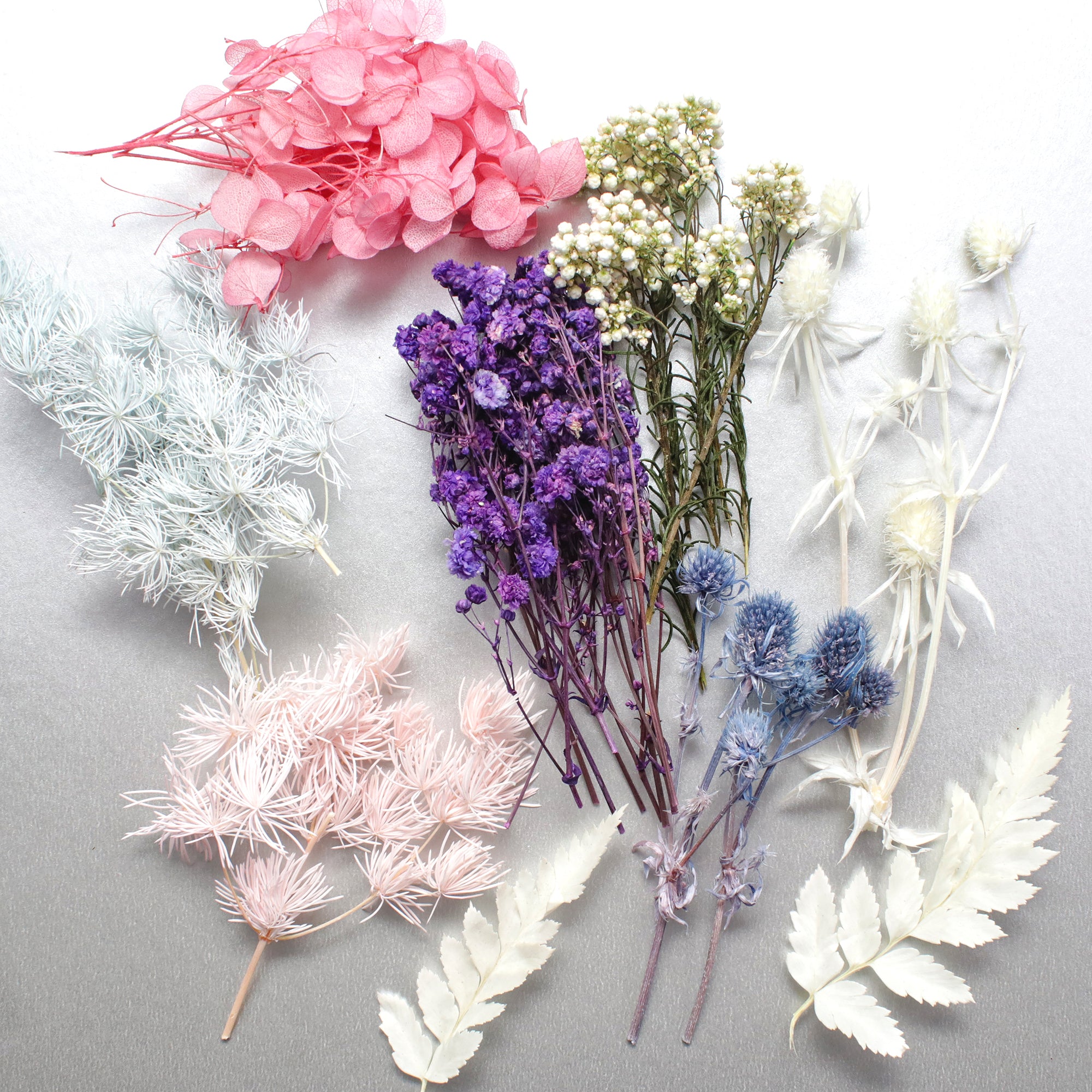 Resin Art Natural Dried Flowers Showy Blossoms 1 Box Ib