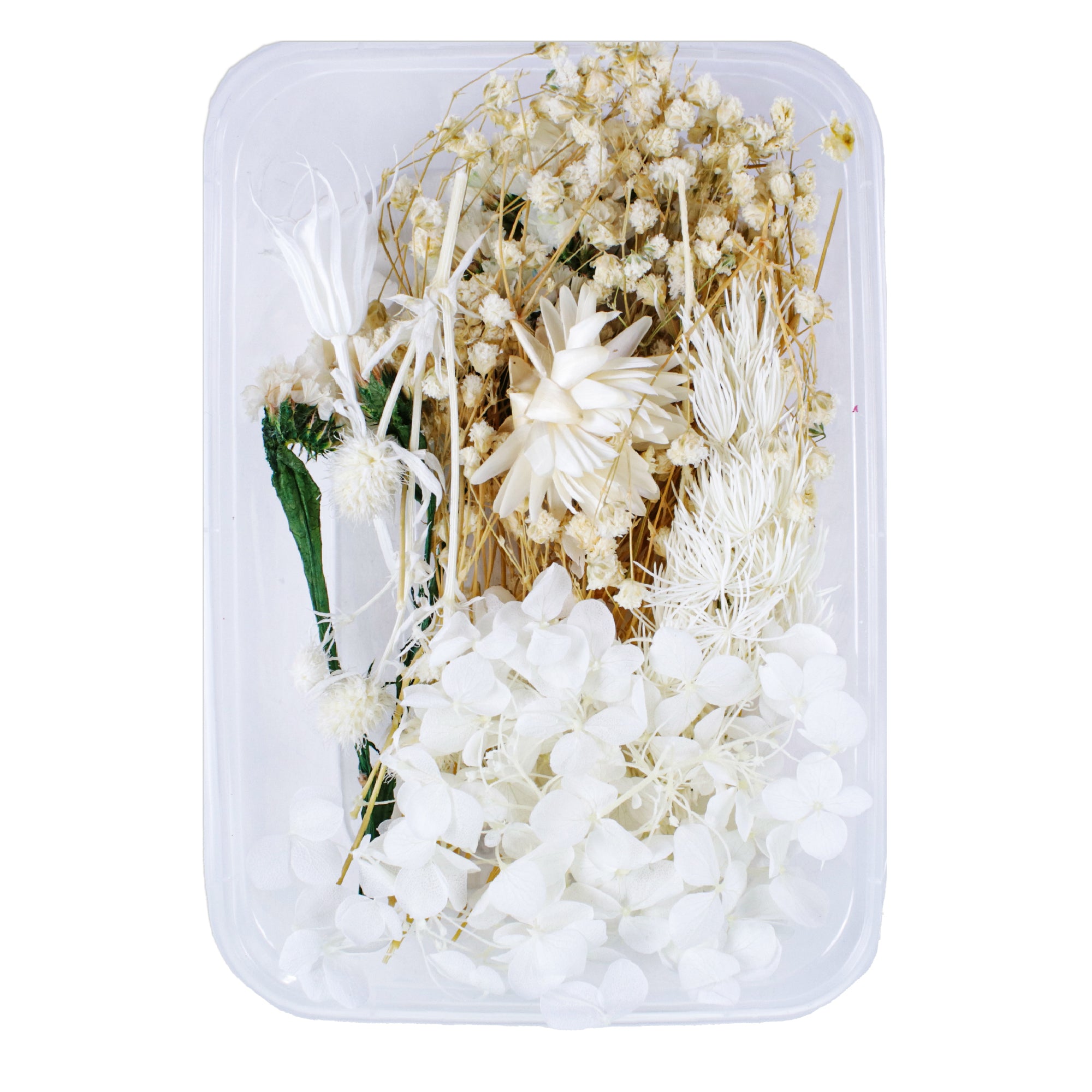 Resin Art Natural Dried Flowers Snowy Blossoms 1 Box Ib