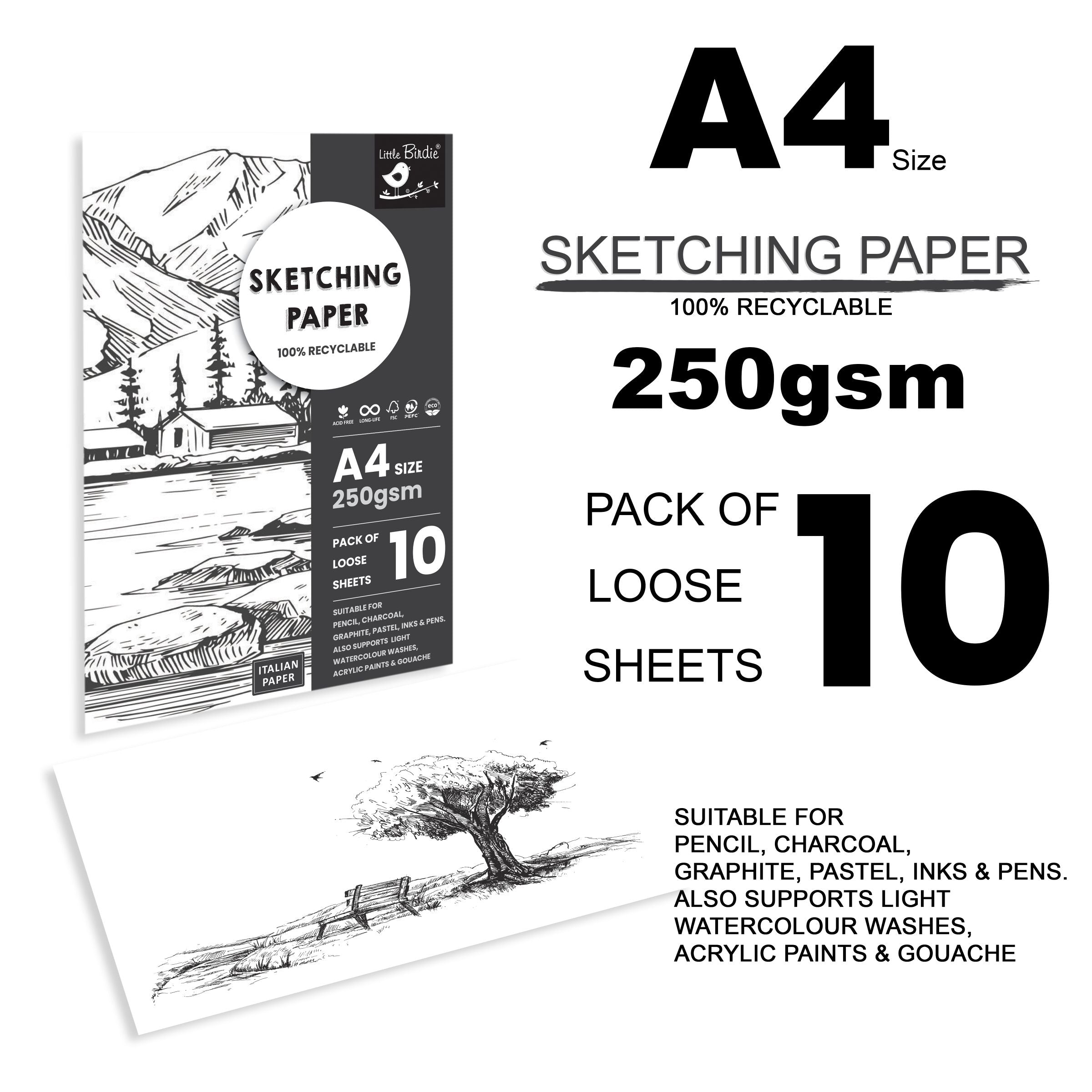 Sketching Paper A4 Size 250 Gsm Pack Of 10 Sheets Pb Lb
