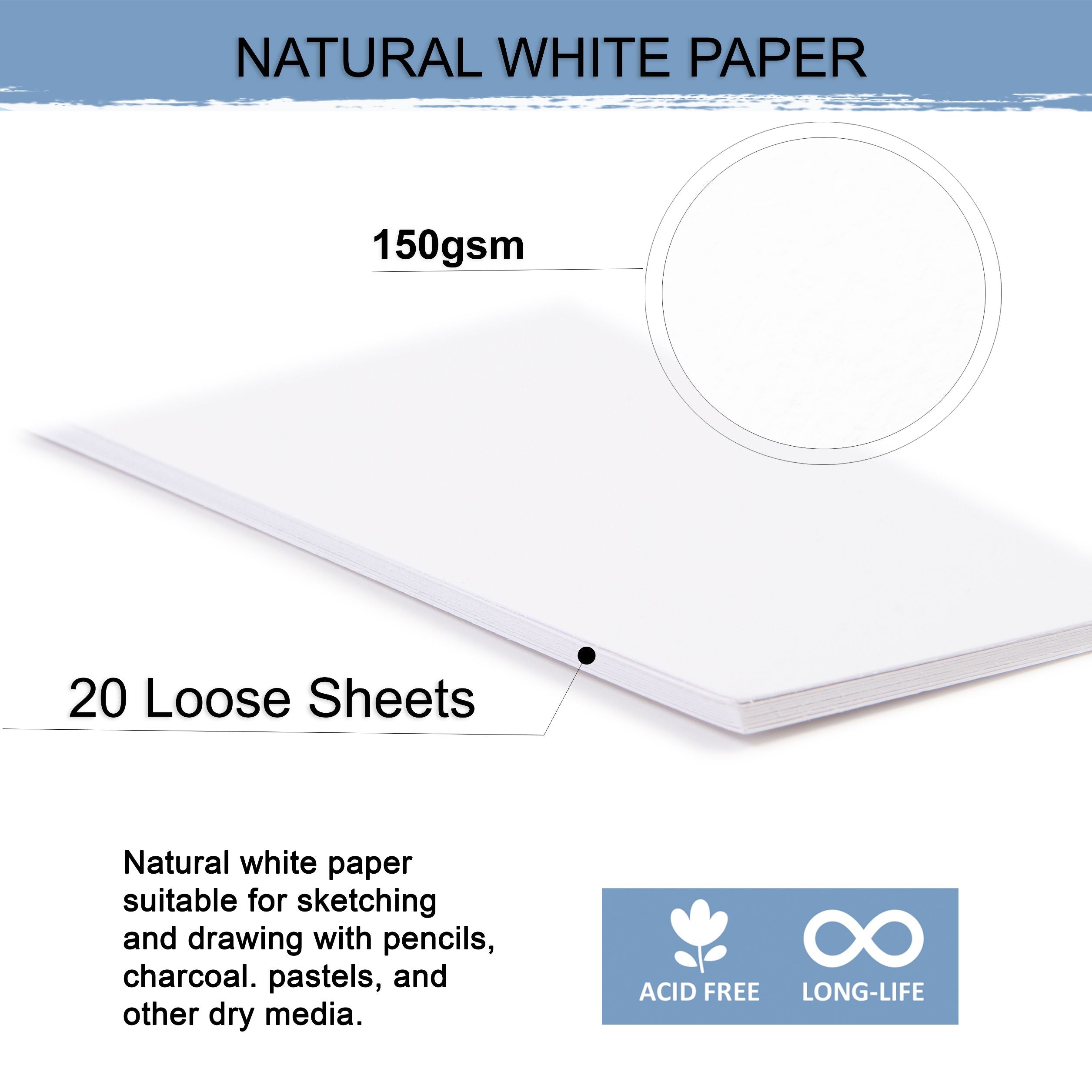 Buy EaseArt A4 Size, 200 GSM Smooth Finish Ivory Drawing Paper/sketches  Sheets, White, A4, Combo Pack of 15 Sheets Online In India At Discounted  Prices