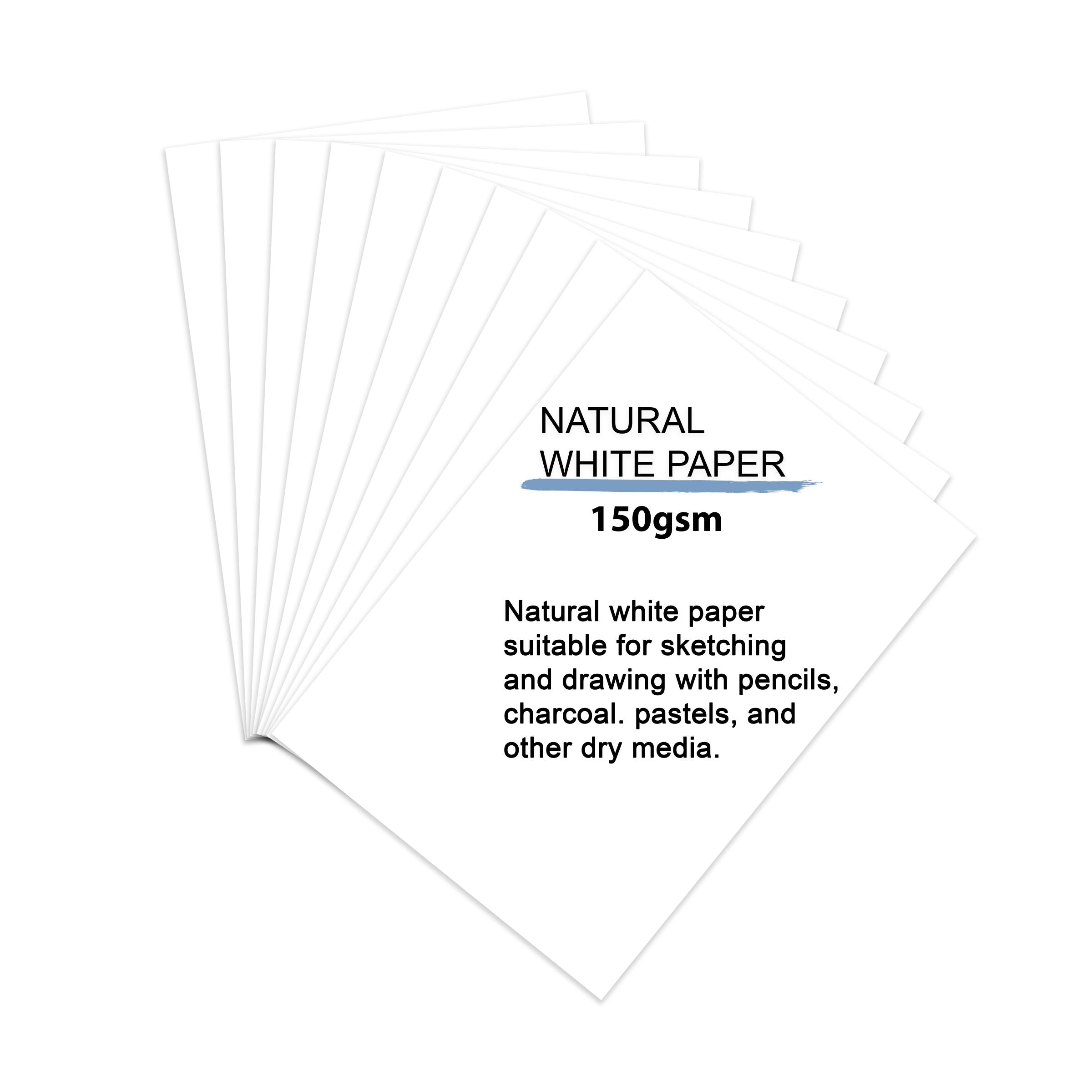 Brusto Drawing Paper 200 GSM A3 Jumbo Pack (Pack of 40+10 Free Sheets)